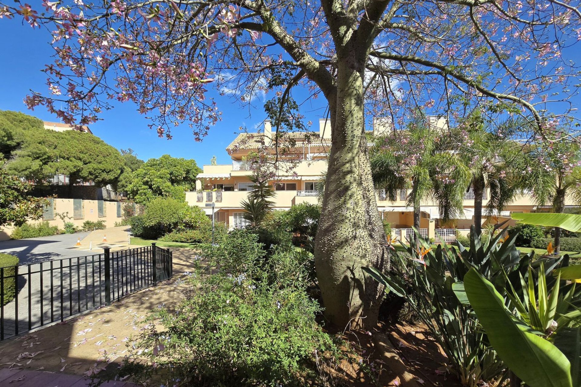Reventa - Apartment - Penthouse - Marbella - Elviria