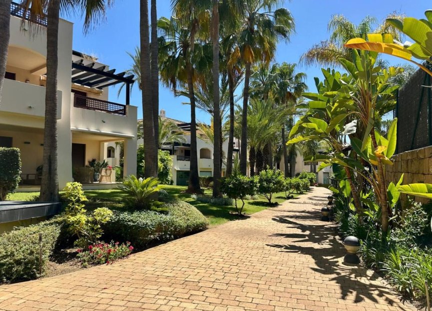 Reventa - Apartment - Penthouse - Marbella - Nueva Andalucia