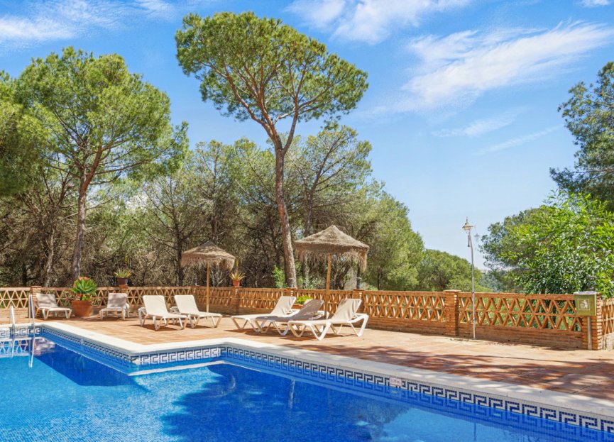 Reventa - Apartment - Penthouse - Marbella - Nueva Andalucia