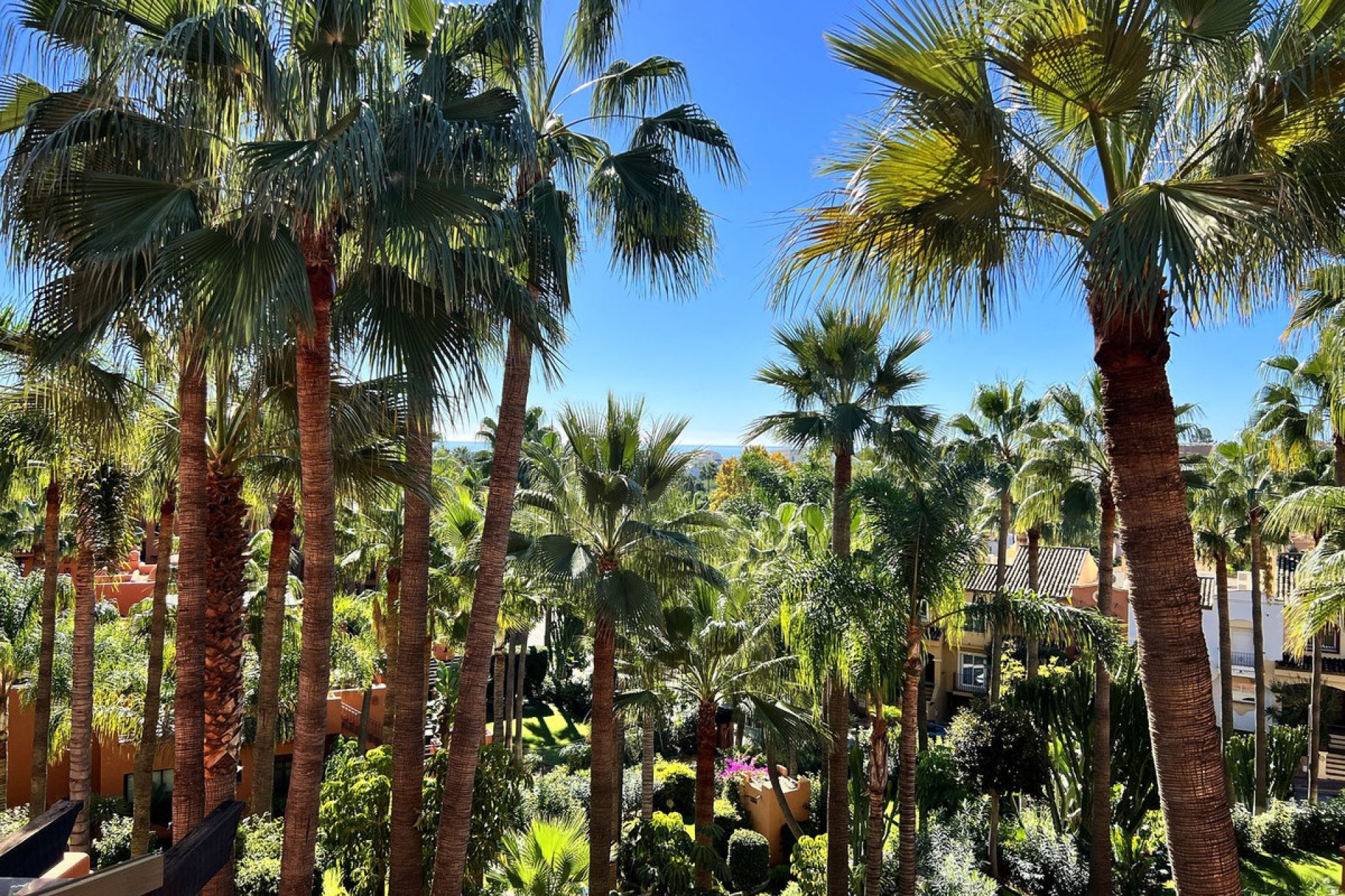 Reventa - Apartment - Penthouse - Marbella - Nueva Andalucia