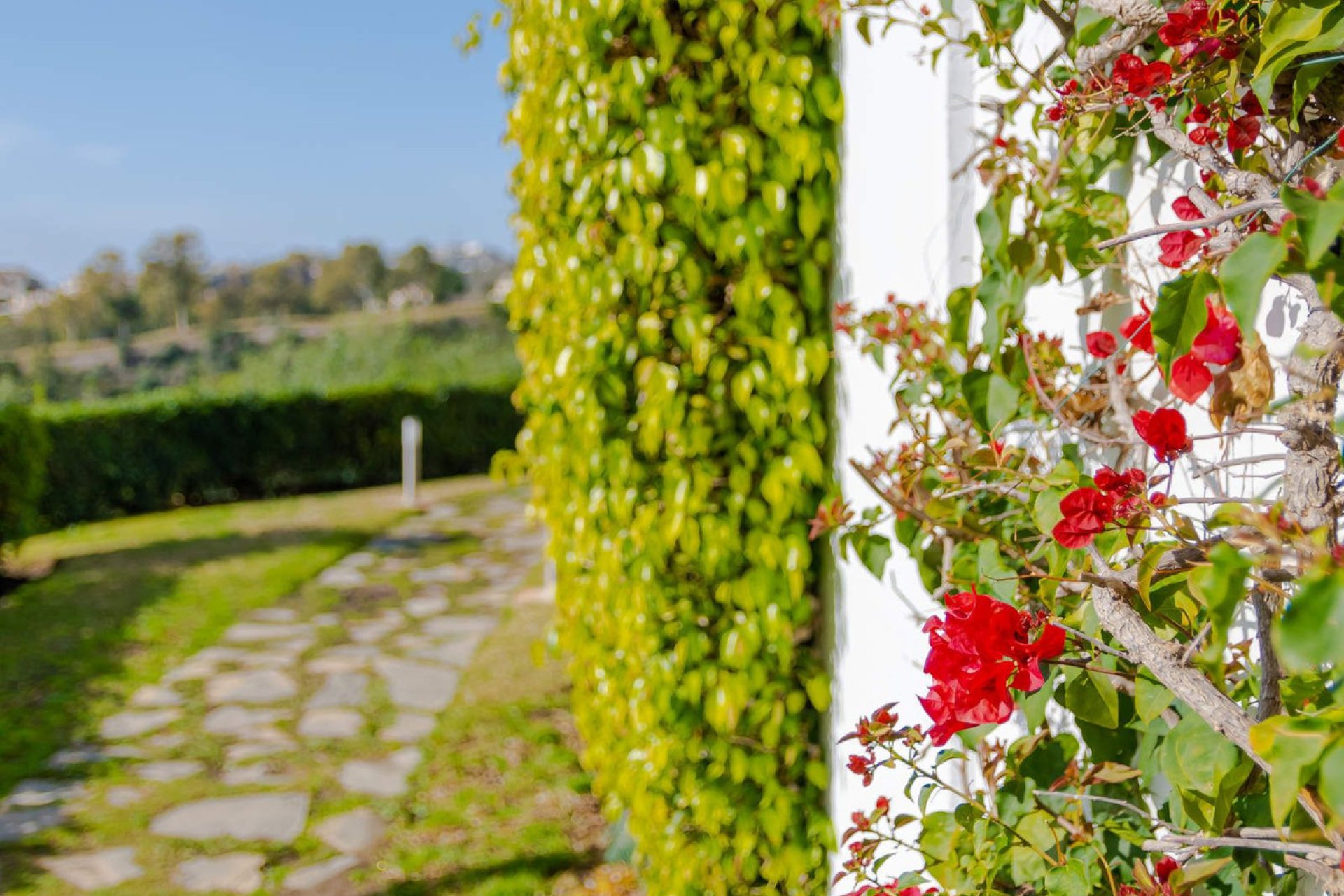 Reventa - Apartment - Top Floor Apartment - Benahavís - Los Arqueros