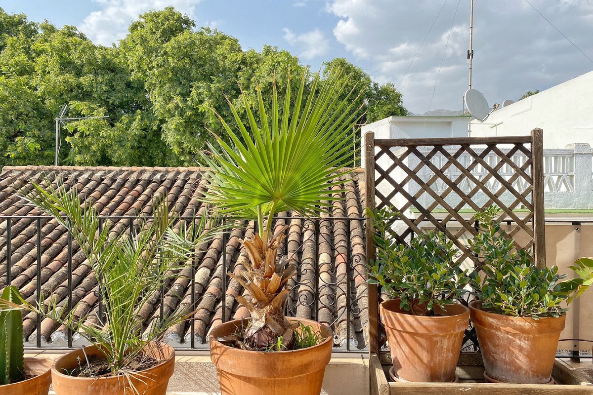 Reventa - Apartment - Top Floor Apartment - Marbella - Marbella Centro