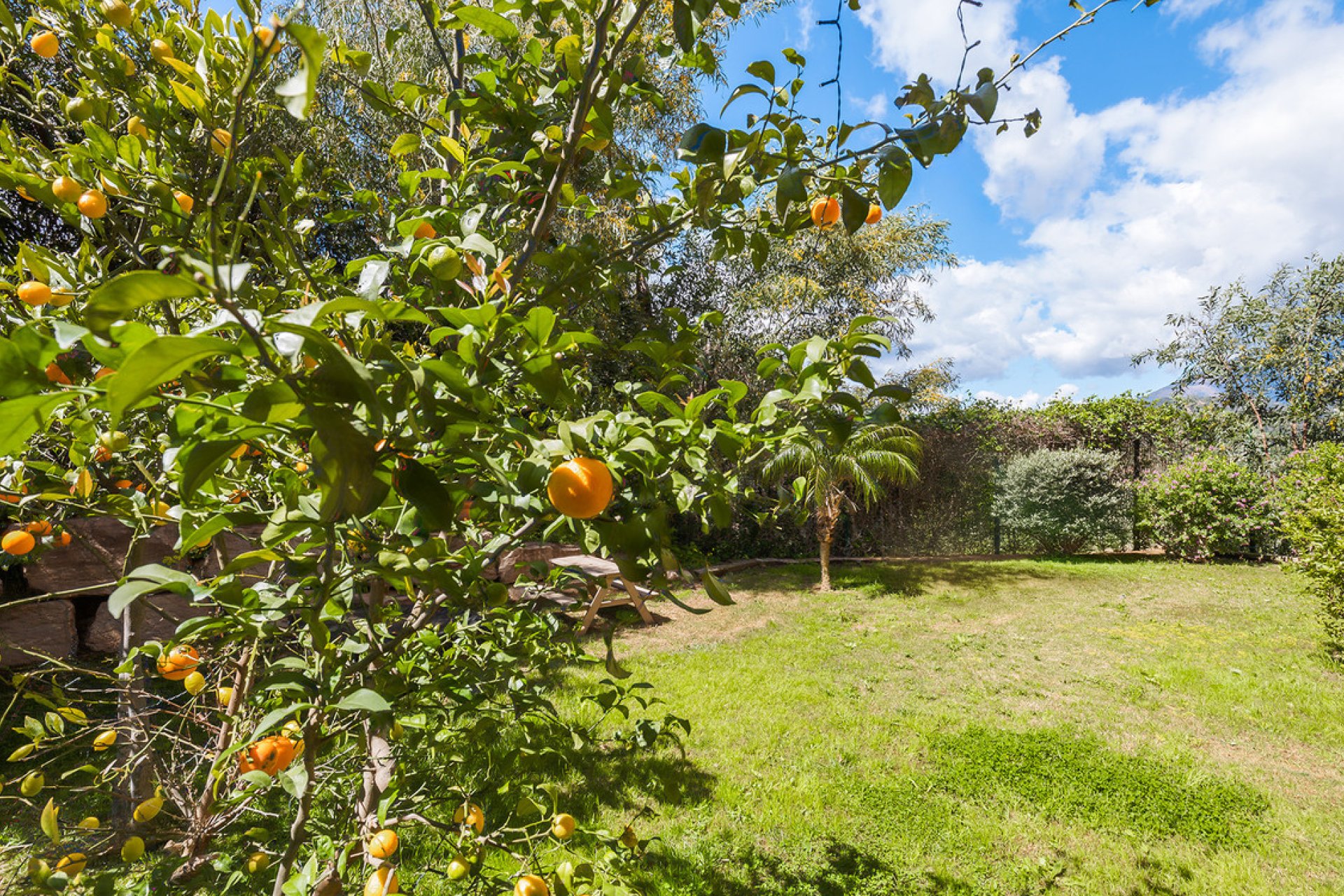 Reventa - Ground floor apartment - Benahavís - Benahavís Centro