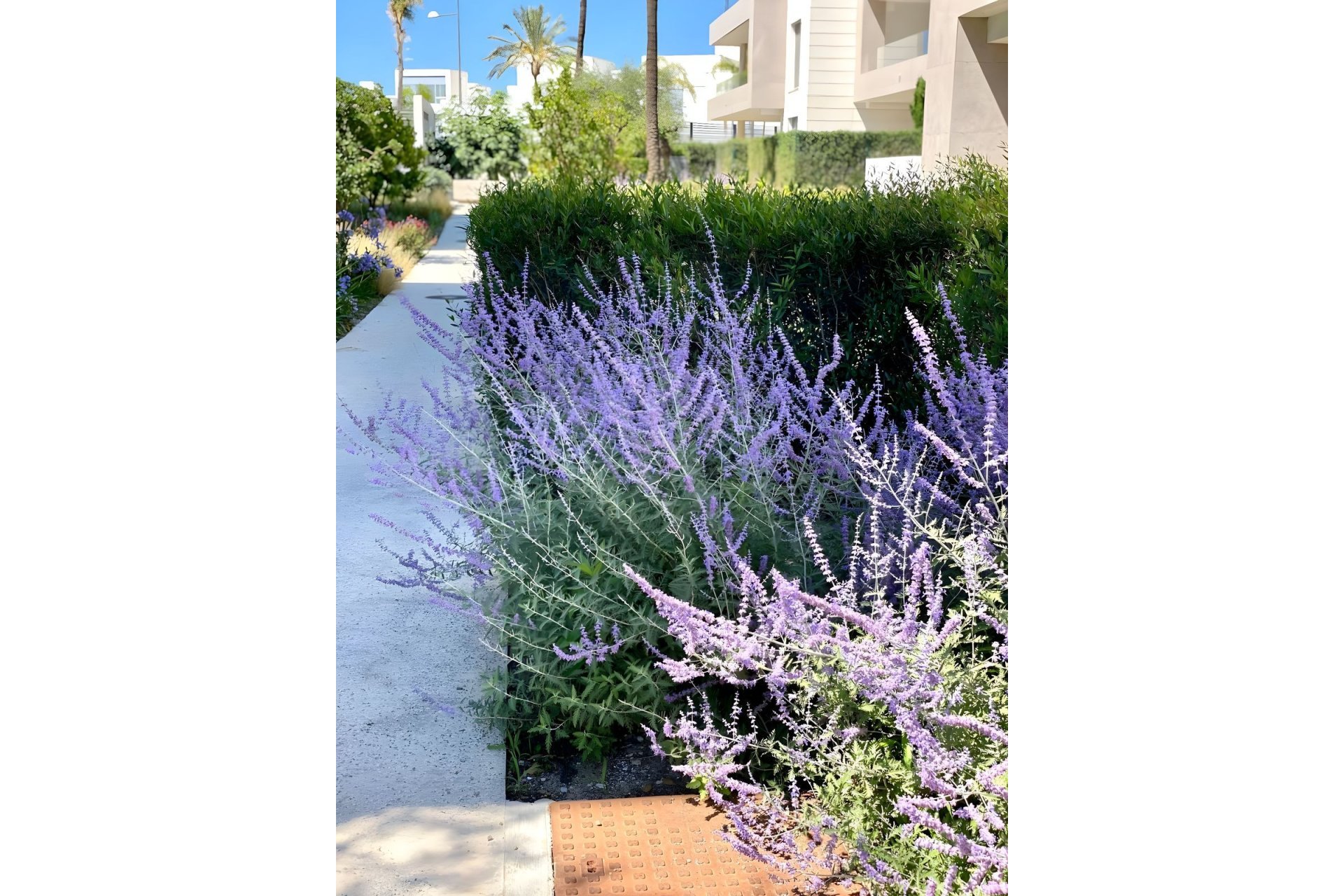 Reventa - Ground floor apartment - Estepona - Cancelada