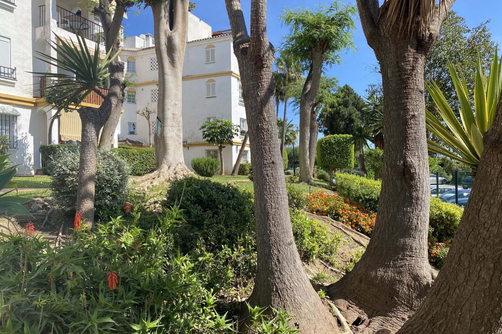 Reventa - Ground floor apartment - Estepona - Diana Park