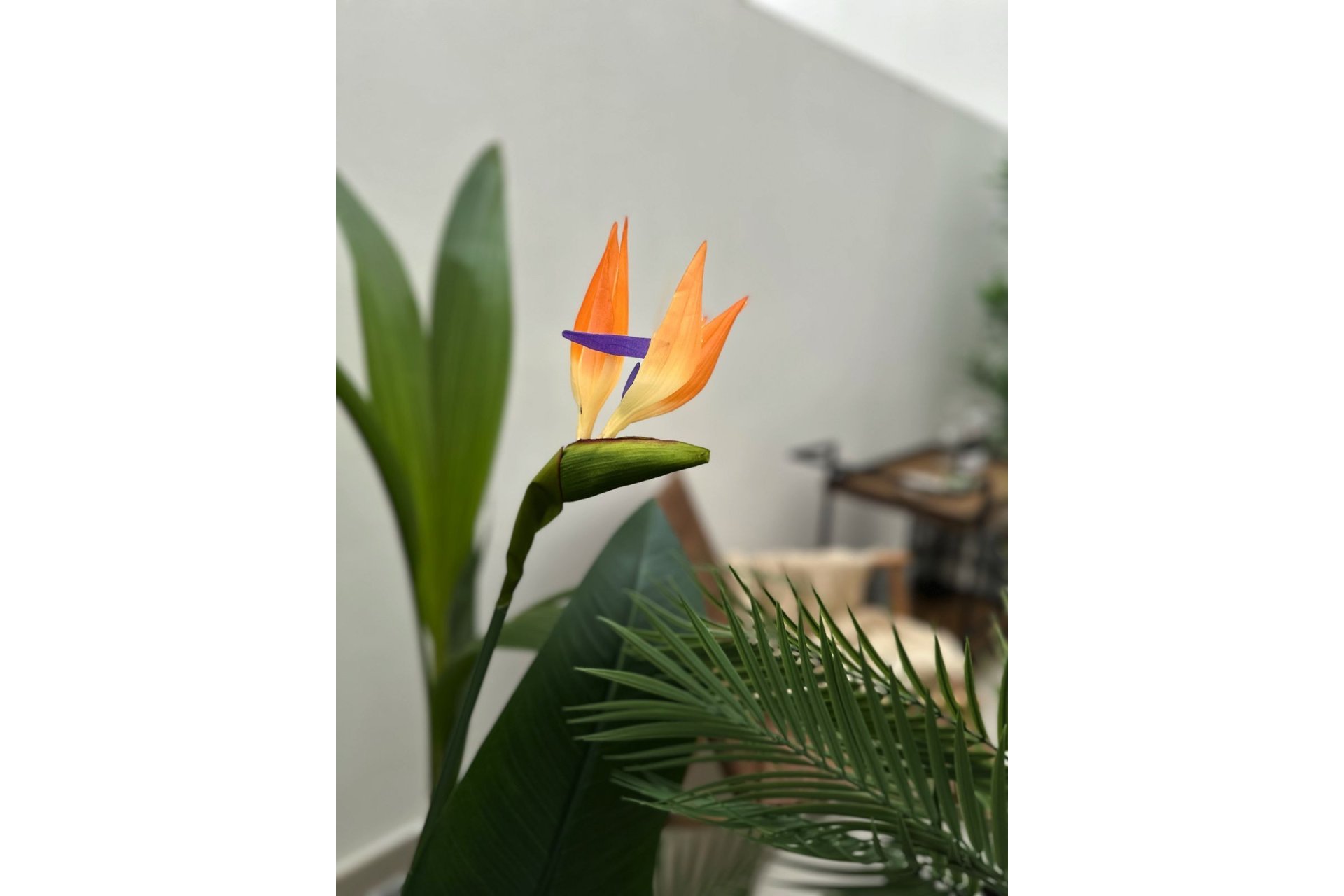 Reventa - Ground floor apartment - Estepona - Estepona Centro