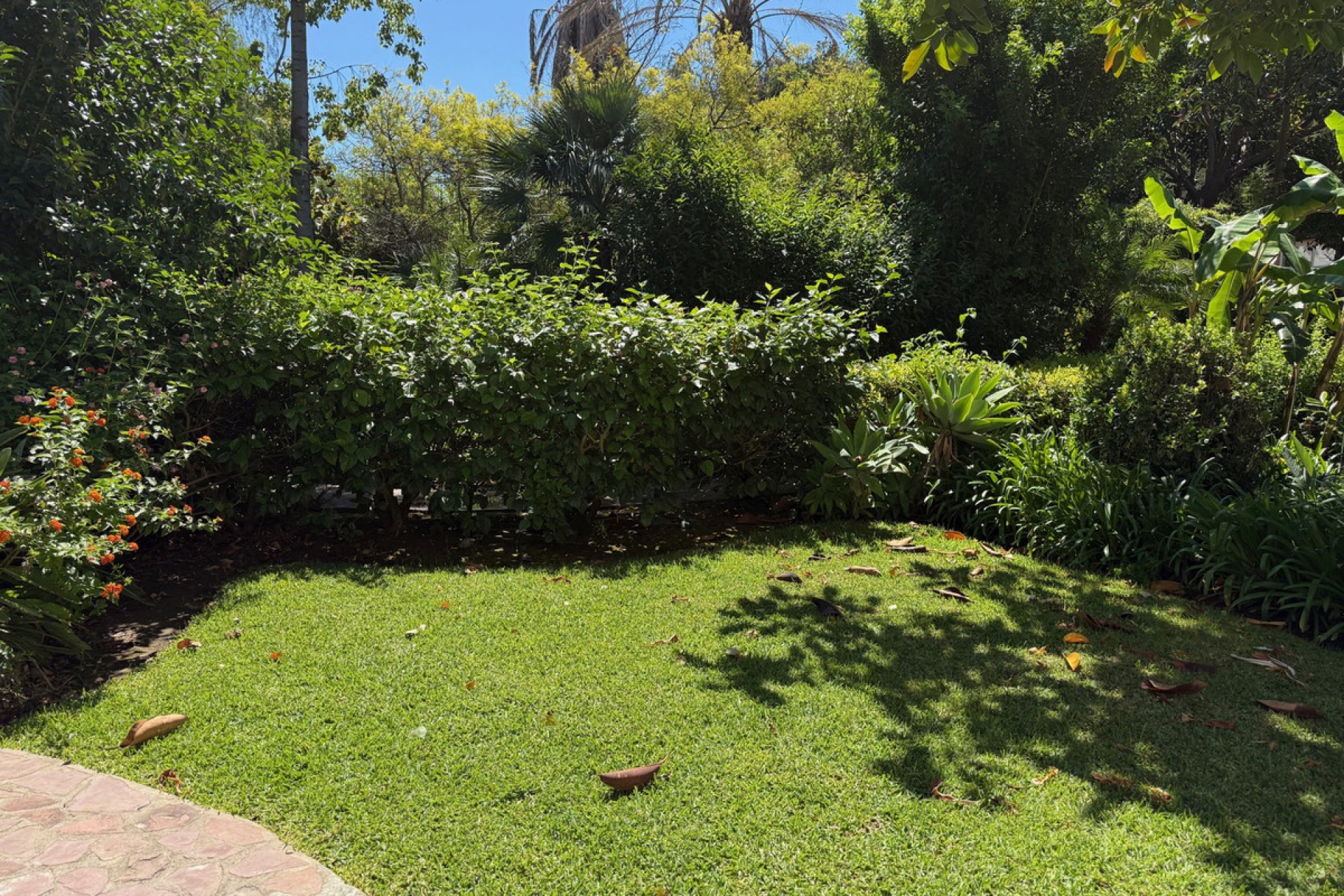 Reventa - Ground floor apartment - Estepona - Estepona Centro