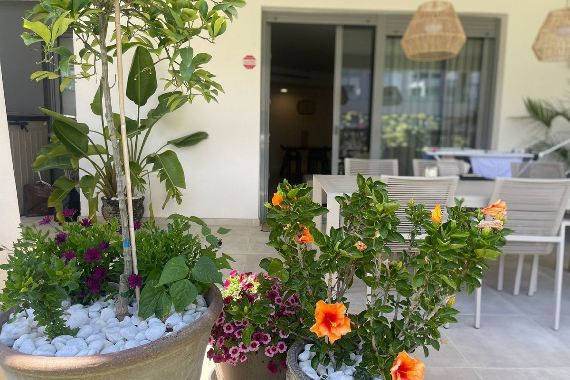 Reventa - Ground floor apartment - Estepona - Estepona Centro