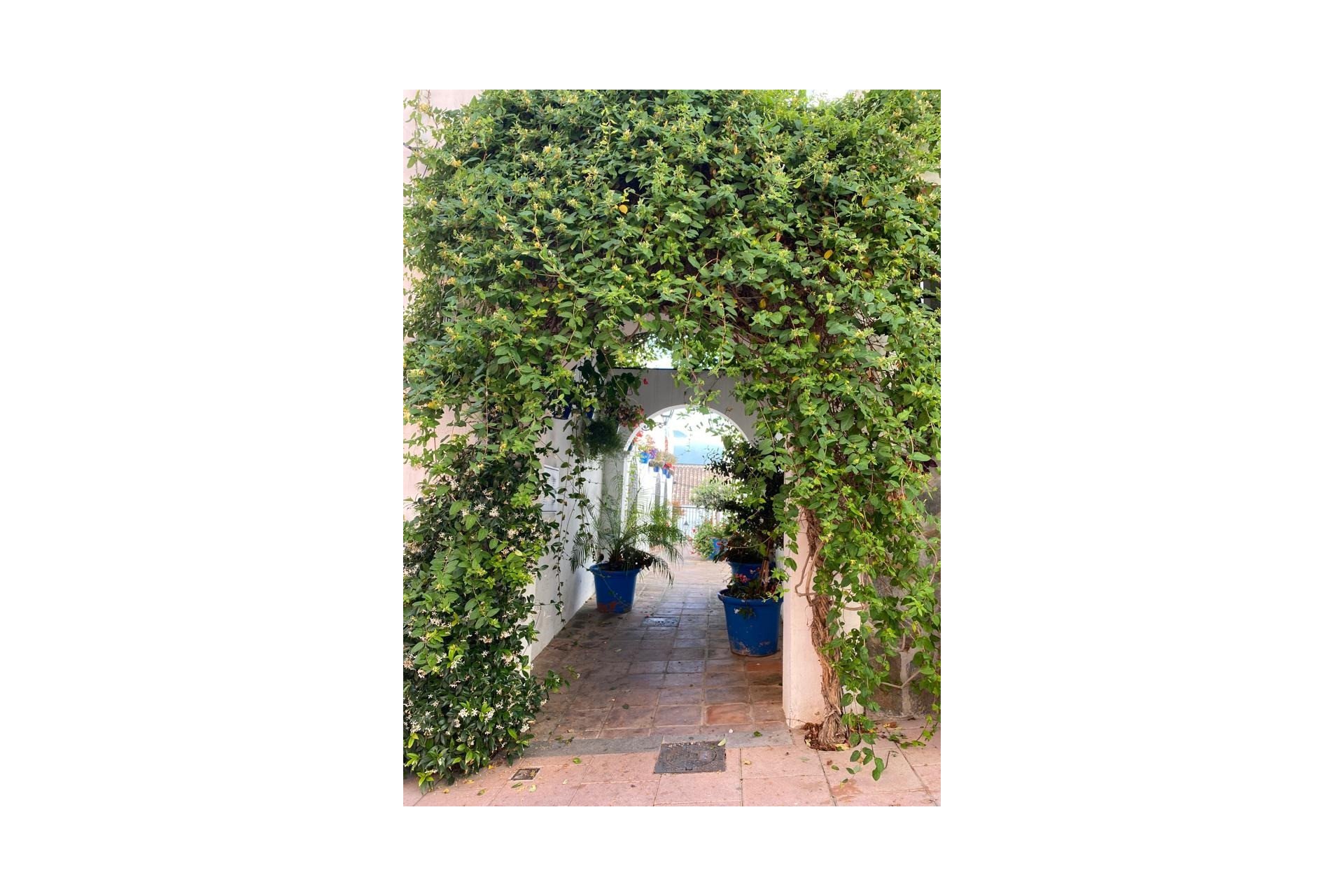 Reventa - Ground floor apartment - Estepona - Estepona Centro