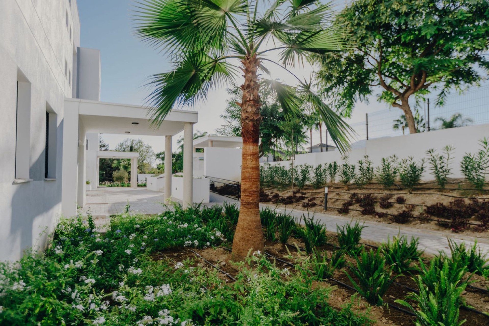 Reventa - Ground floor apartment - Estepona - Selwo