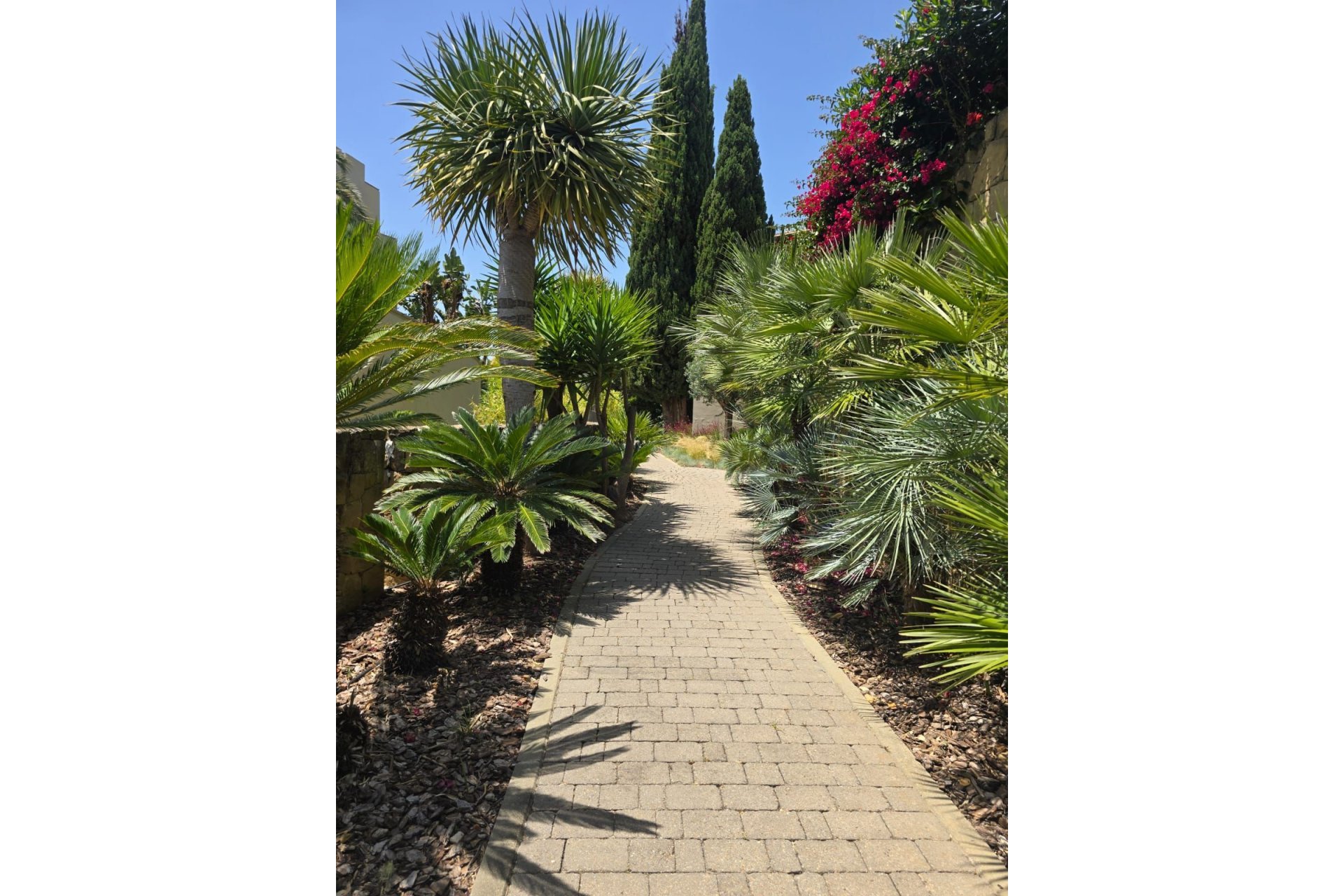 Reventa - Ground floor apartment - Marbella - Marbella Centro