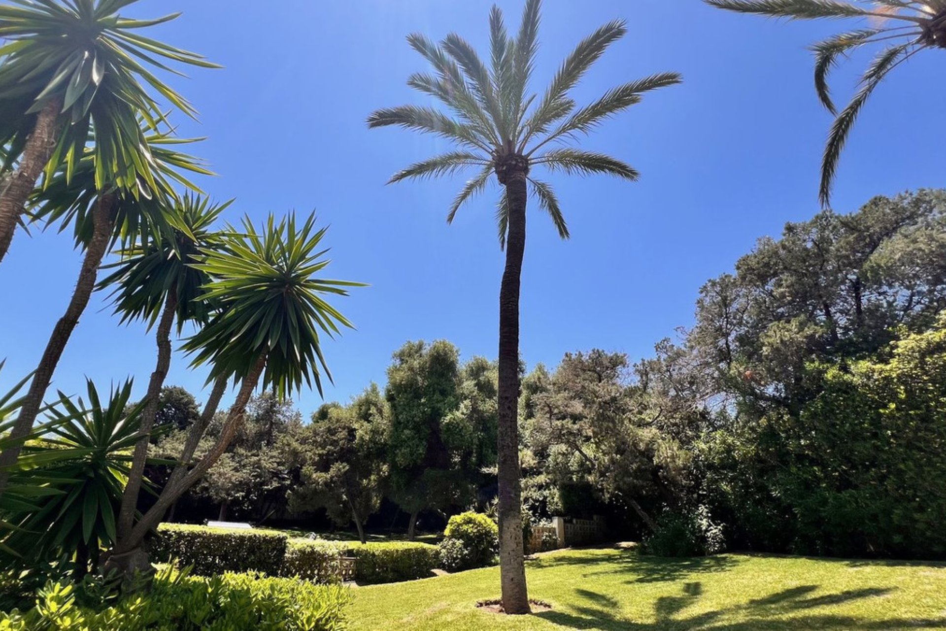 Reventa - Ground floor apartment - Marbella - Marbesa