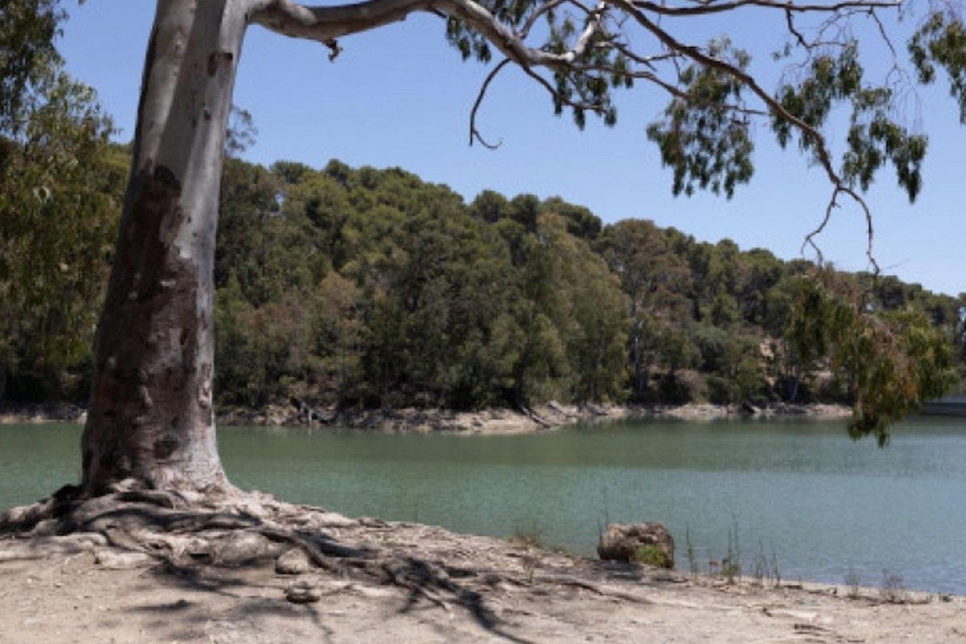 Reventa - Ground floor apartment - Marbella - Nueva Andalucia