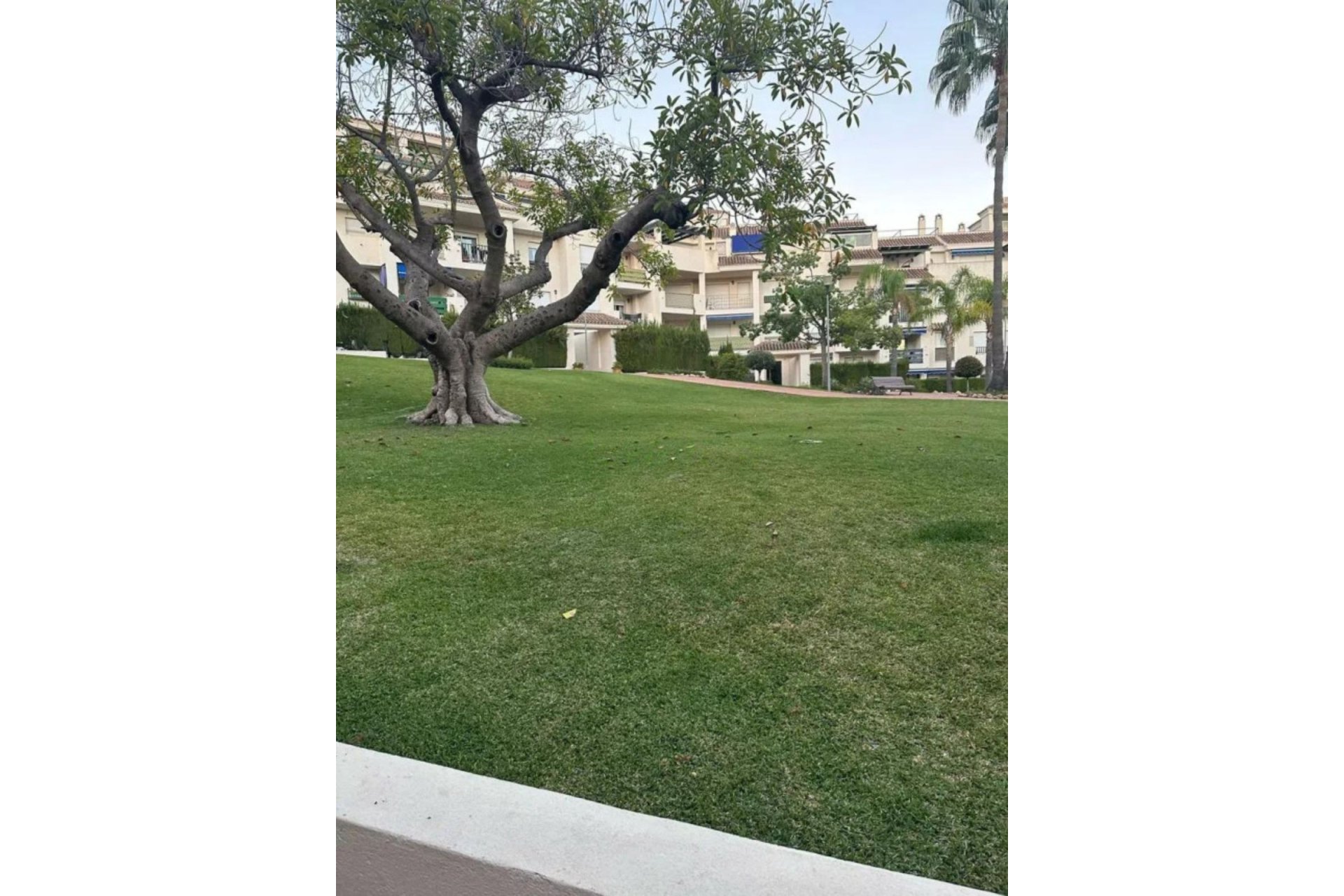 Reventa - Ground floor apartment - Marbella - Nueva Andalucia