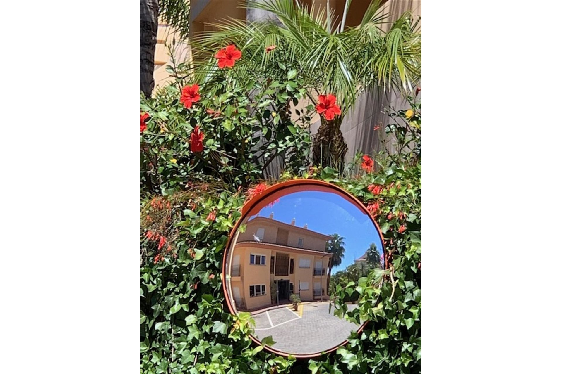 Reventa - Ground floor apartment - Marbella - Nueva Andalucia