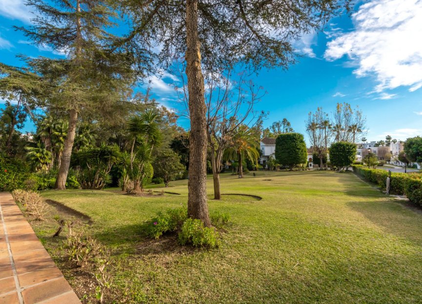 Reventa - Ground floor apartment - Marbella - Nueva Andalucia