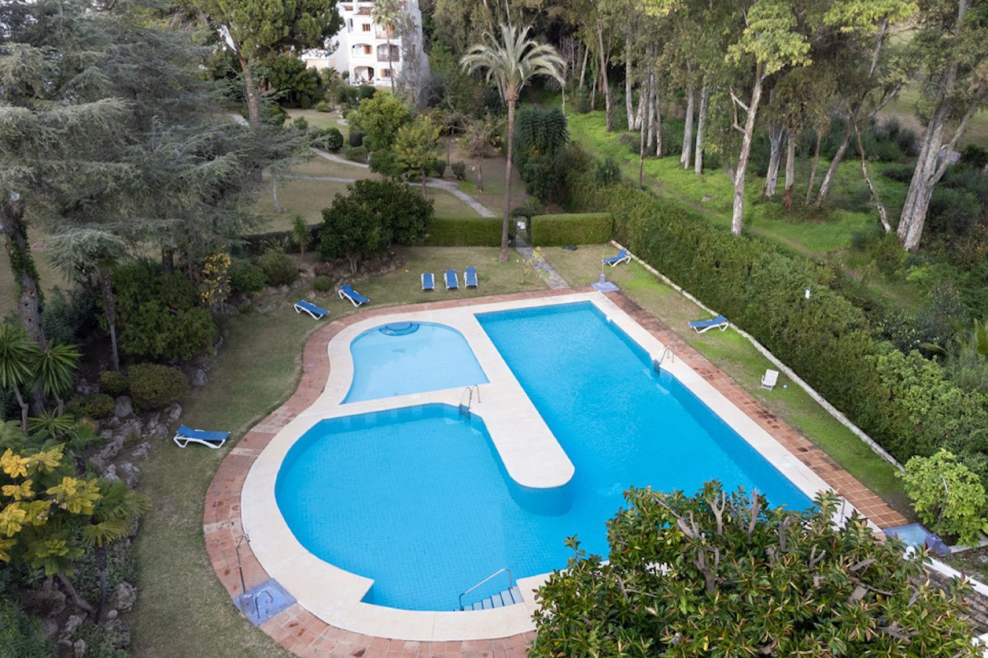 Reventa - Ground floor apartment - Marbella - Nueva Andalucia