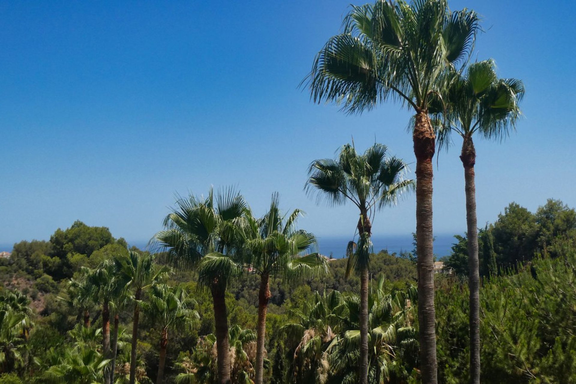 Reventa - Ground floor apartment - Marbella - Sierra Blanca