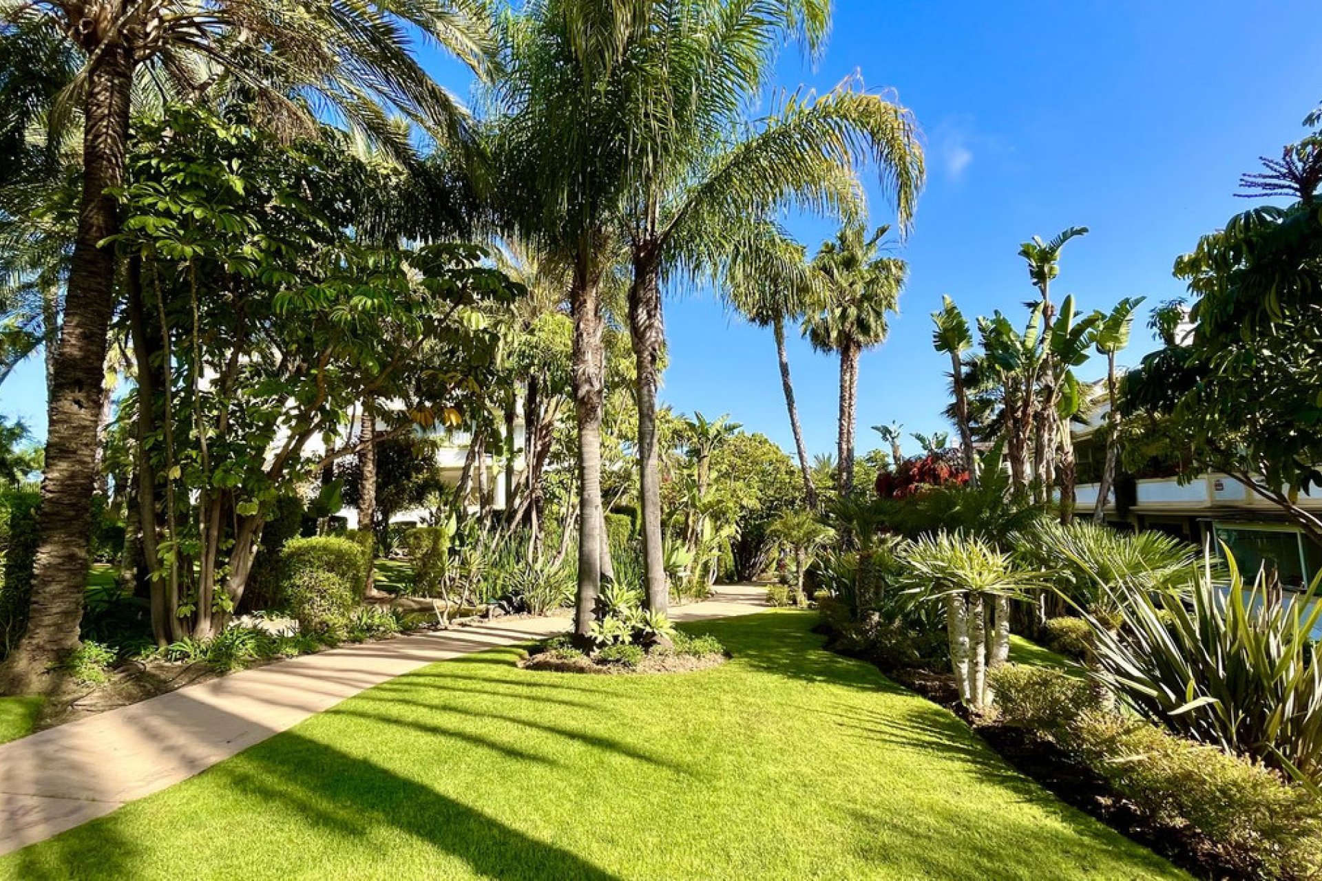 Reventa - Ground floor apartment - Marbella - The Golden Mile