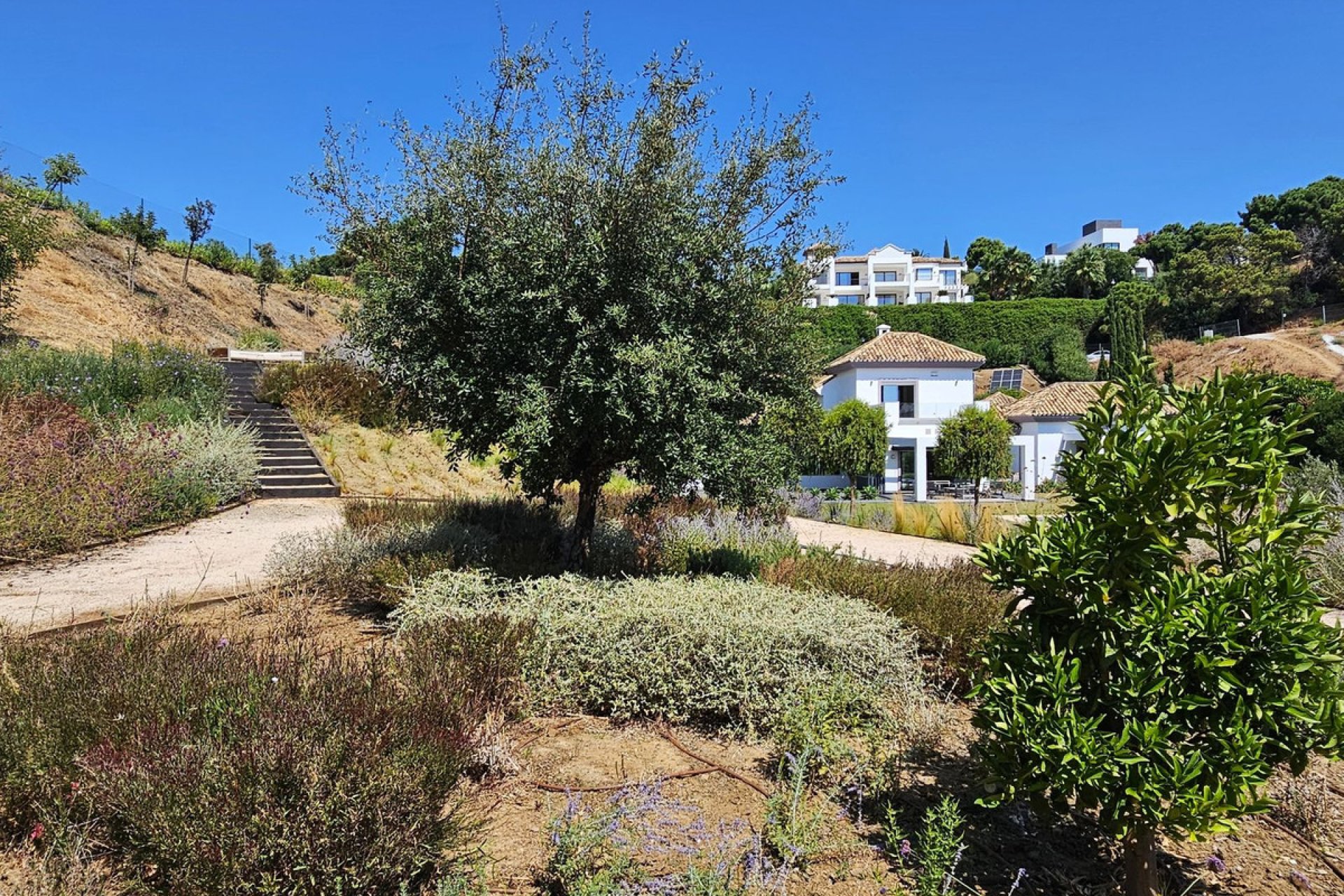 Reventa - House - Detached Villa - Benahavís - Benahavís Centro