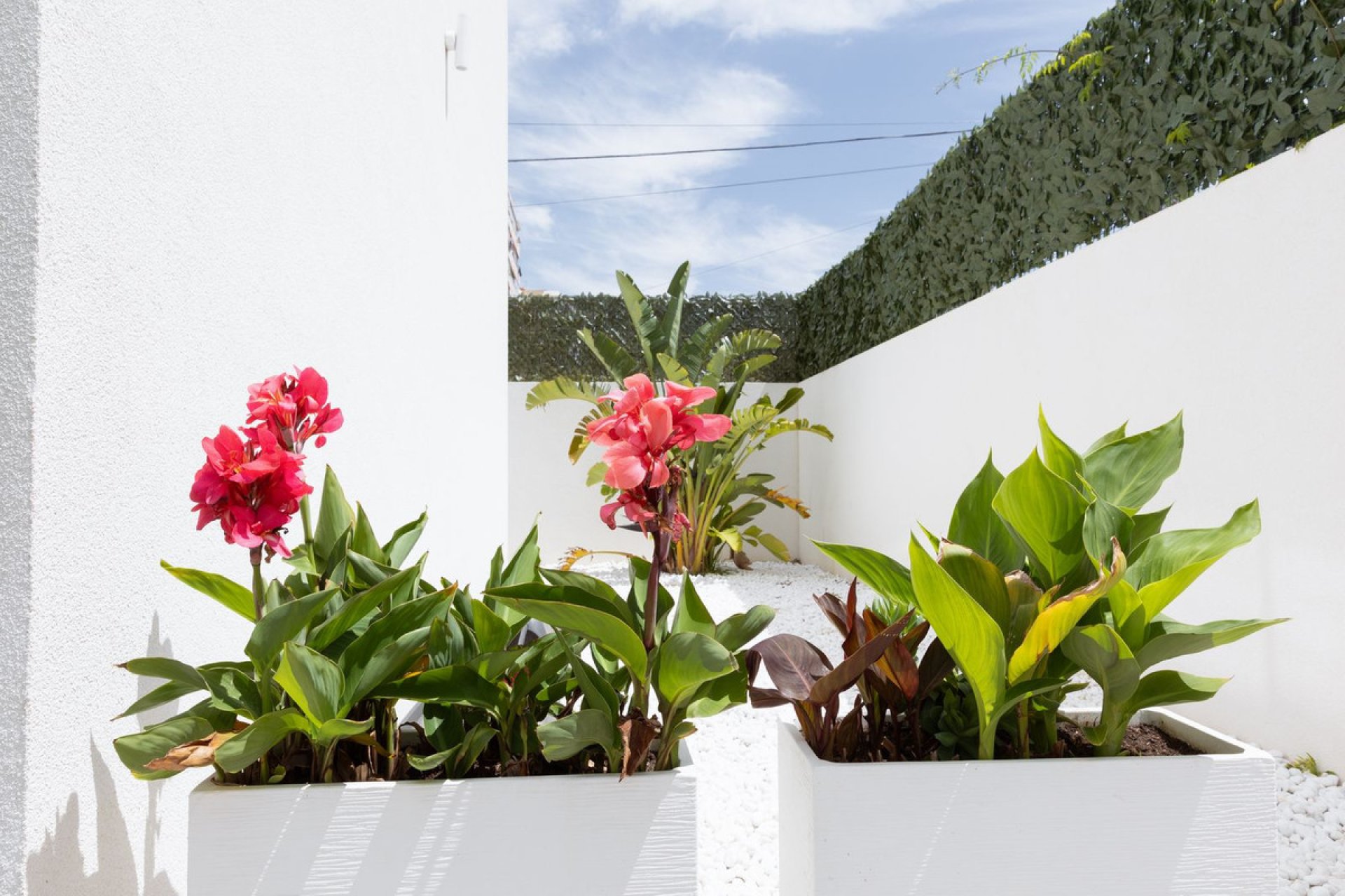 Reventa - House - Detached Villa - Benalmádena - Benalmadena Centro