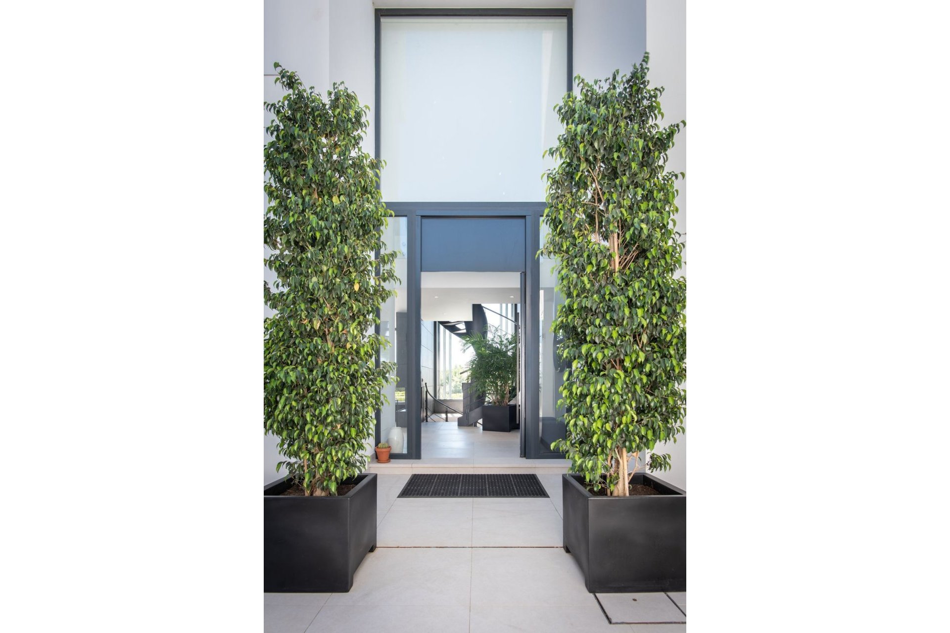 Reventa - House - Detached Villa - Estepona - Estepona Centro