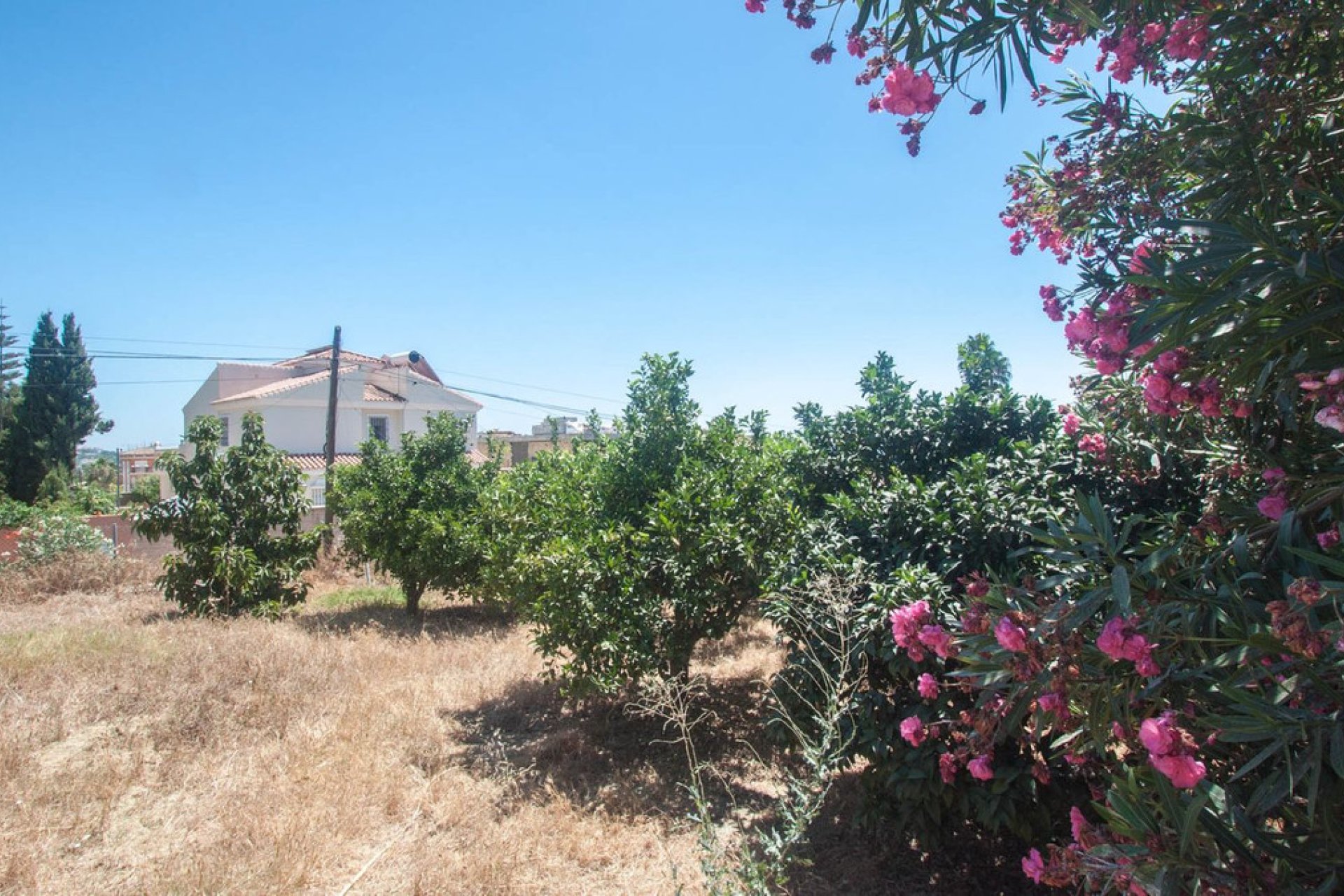 Reventa - House - Detached Villa - Estepona - Estepona Centro