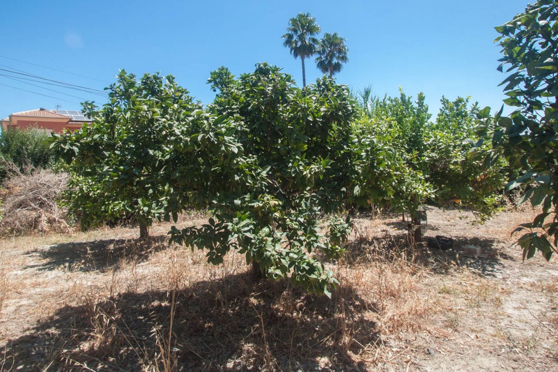 Reventa - House - Detached Villa - Estepona - Estepona Centro