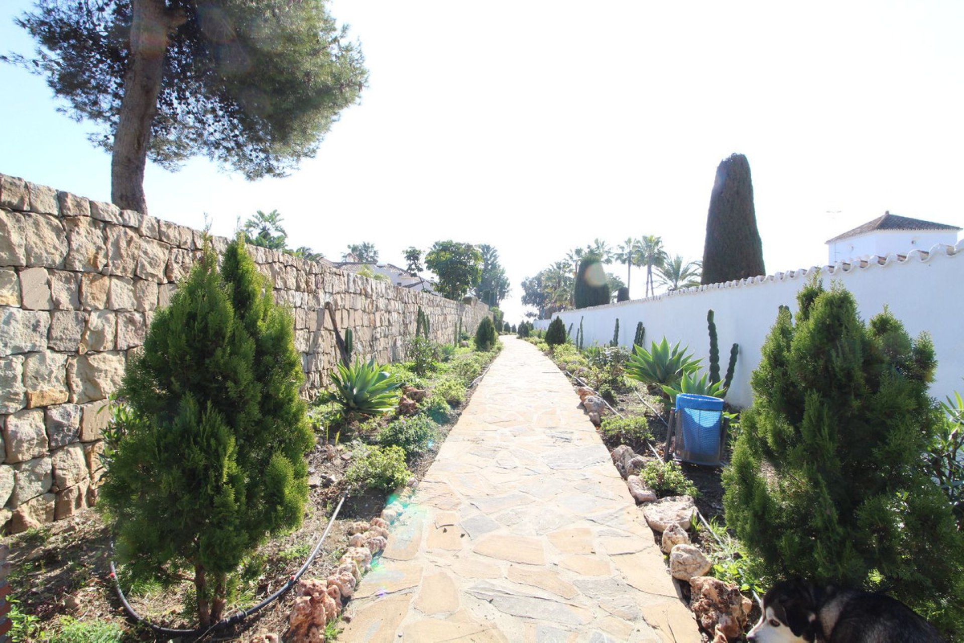 Reventa - House - Detached Villa - Estepona - New Golden Mile