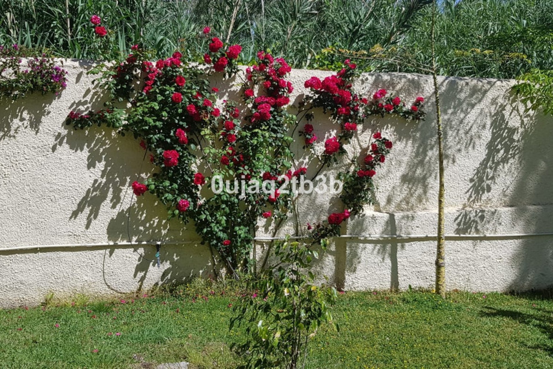 Reventa - House - Detached Villa - Estepona - New Golden Mile