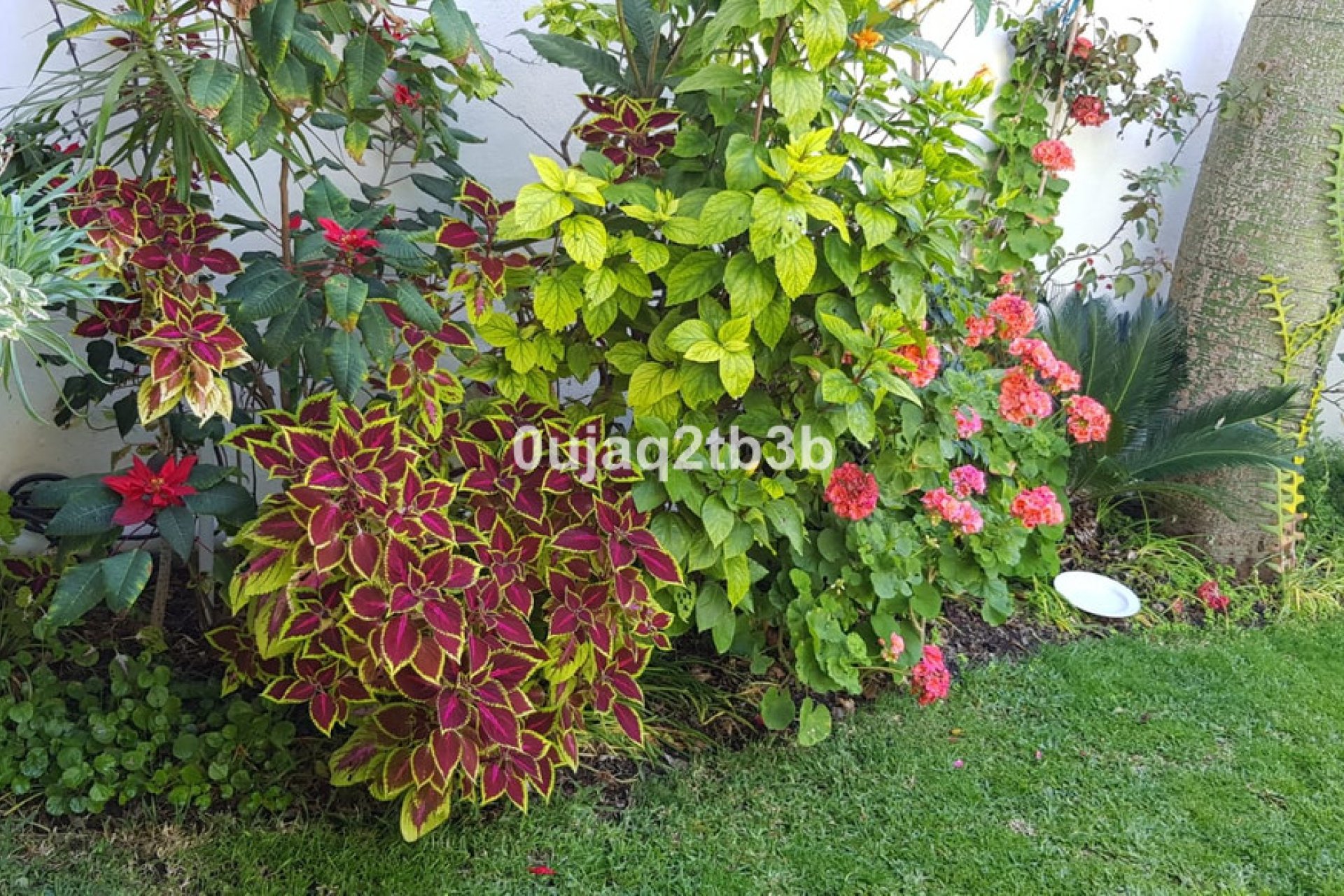 Reventa - House - Detached Villa - Estepona - New Golden Mile