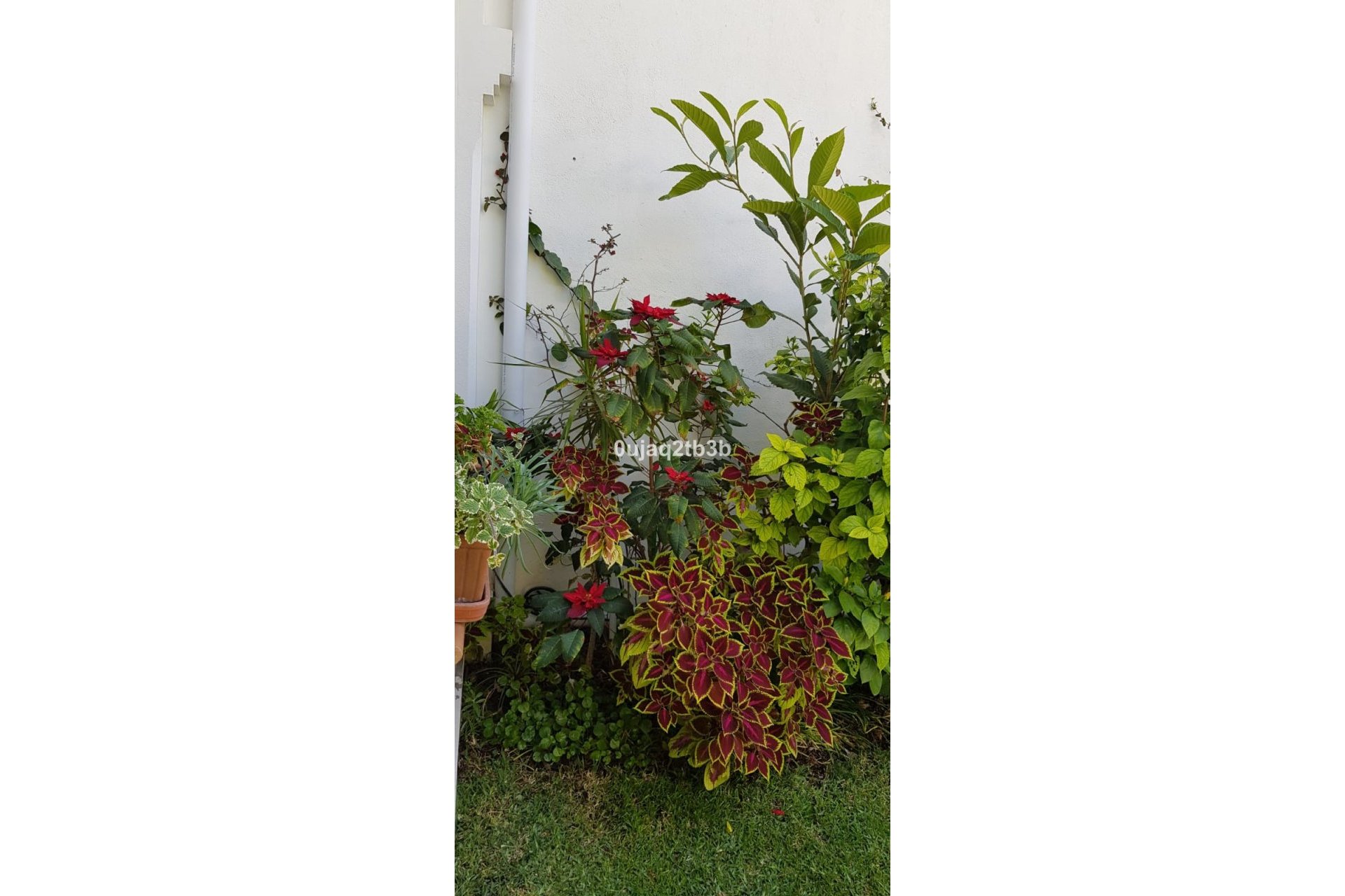 Reventa - House - Detached Villa - Estepona - New Golden Mile