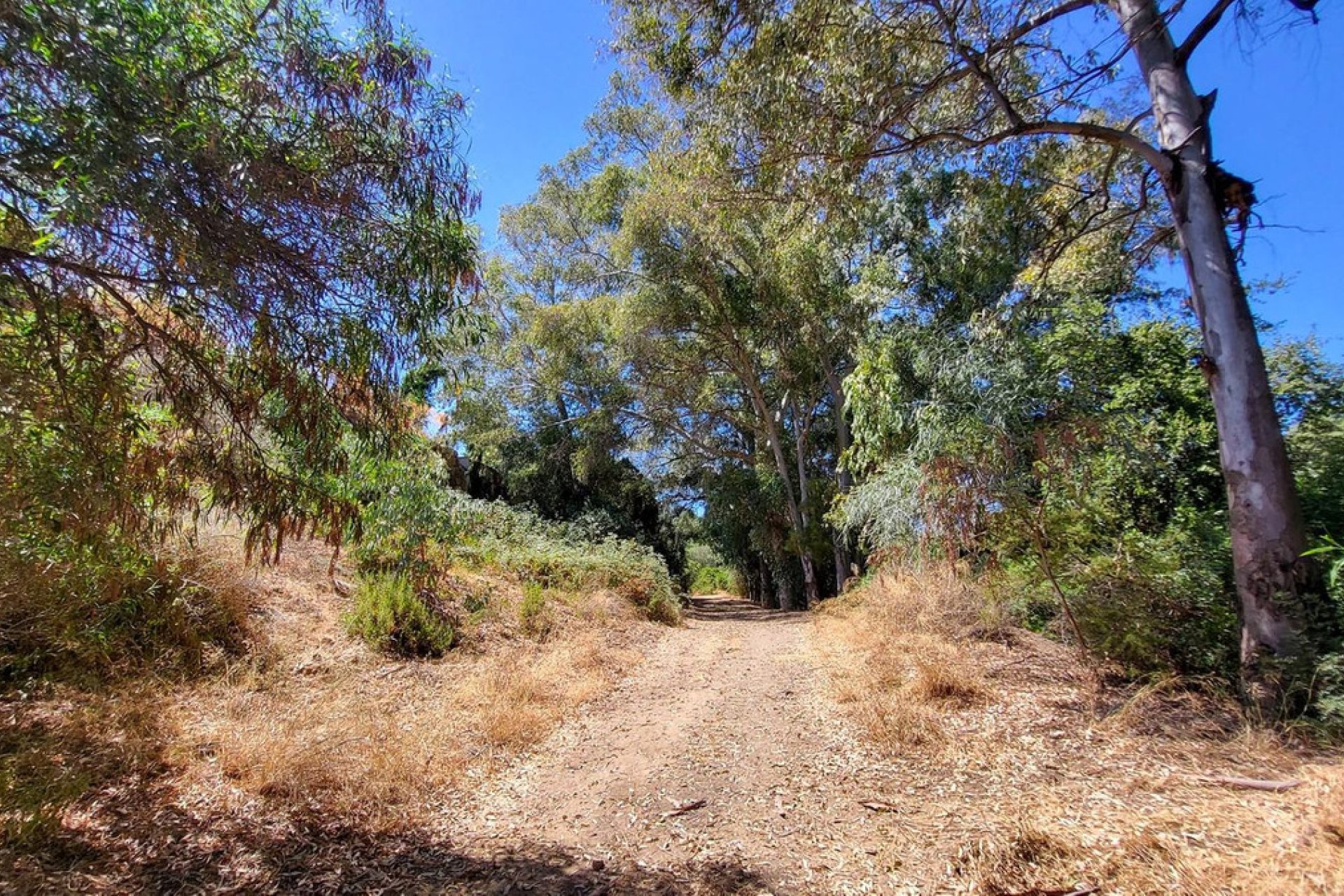 Reventa - House - Detached Villa - Marbella - Elviria