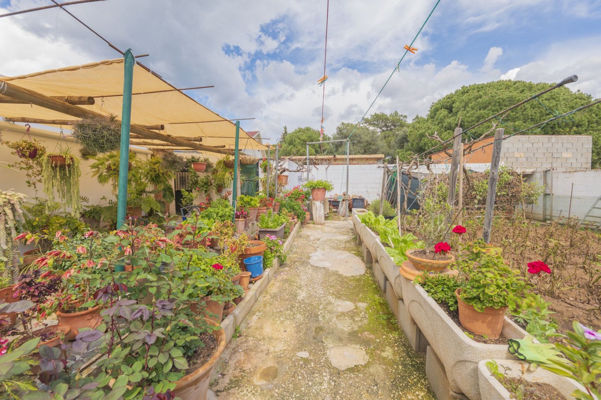 Reventa - House - Detached Villa - Marbella - Las Chapas