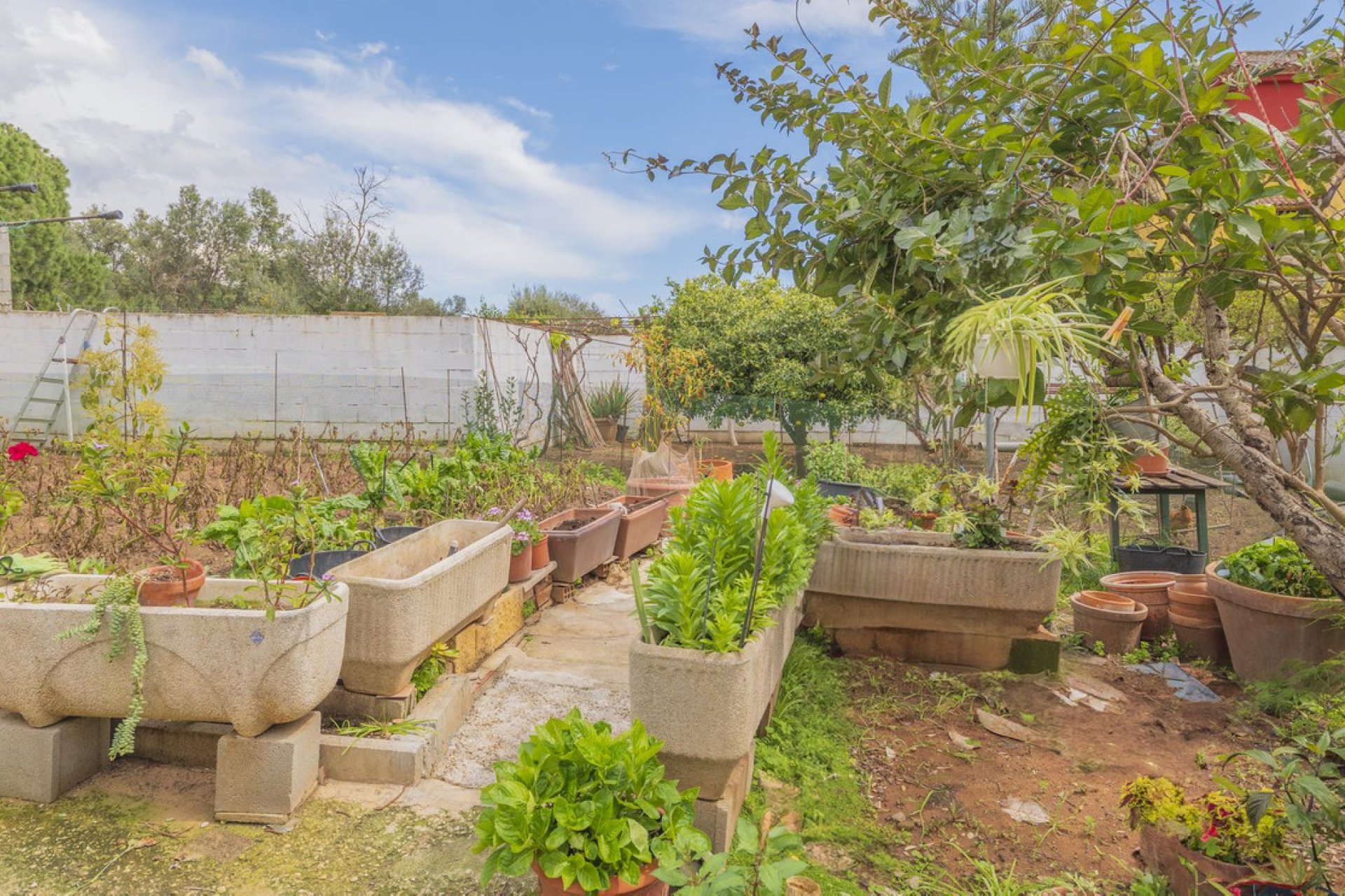 Reventa - House - Detached Villa - Marbella - Las Chapas