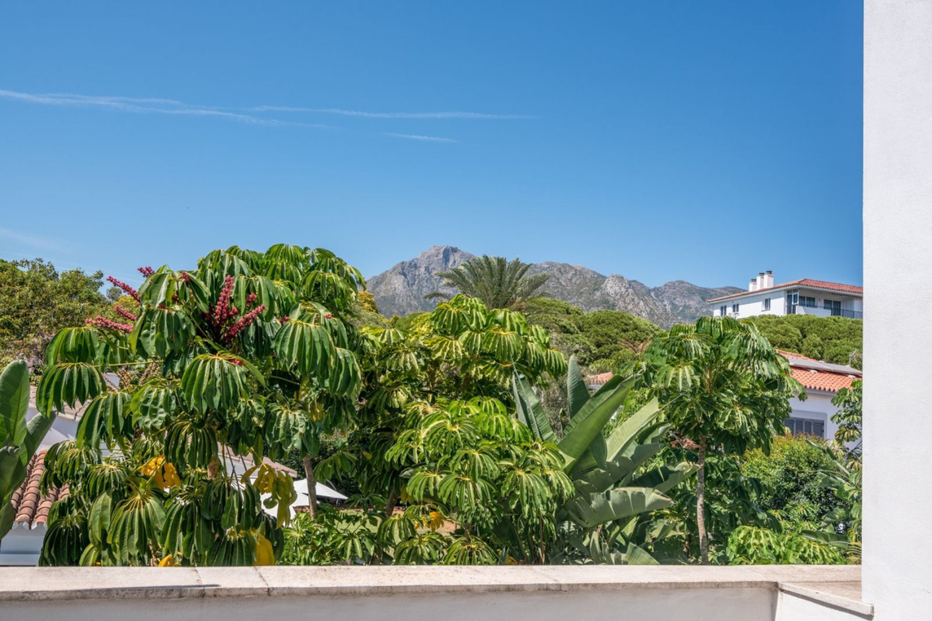 Reventa - House - Detached Villa - Marbella - Marbella Centro