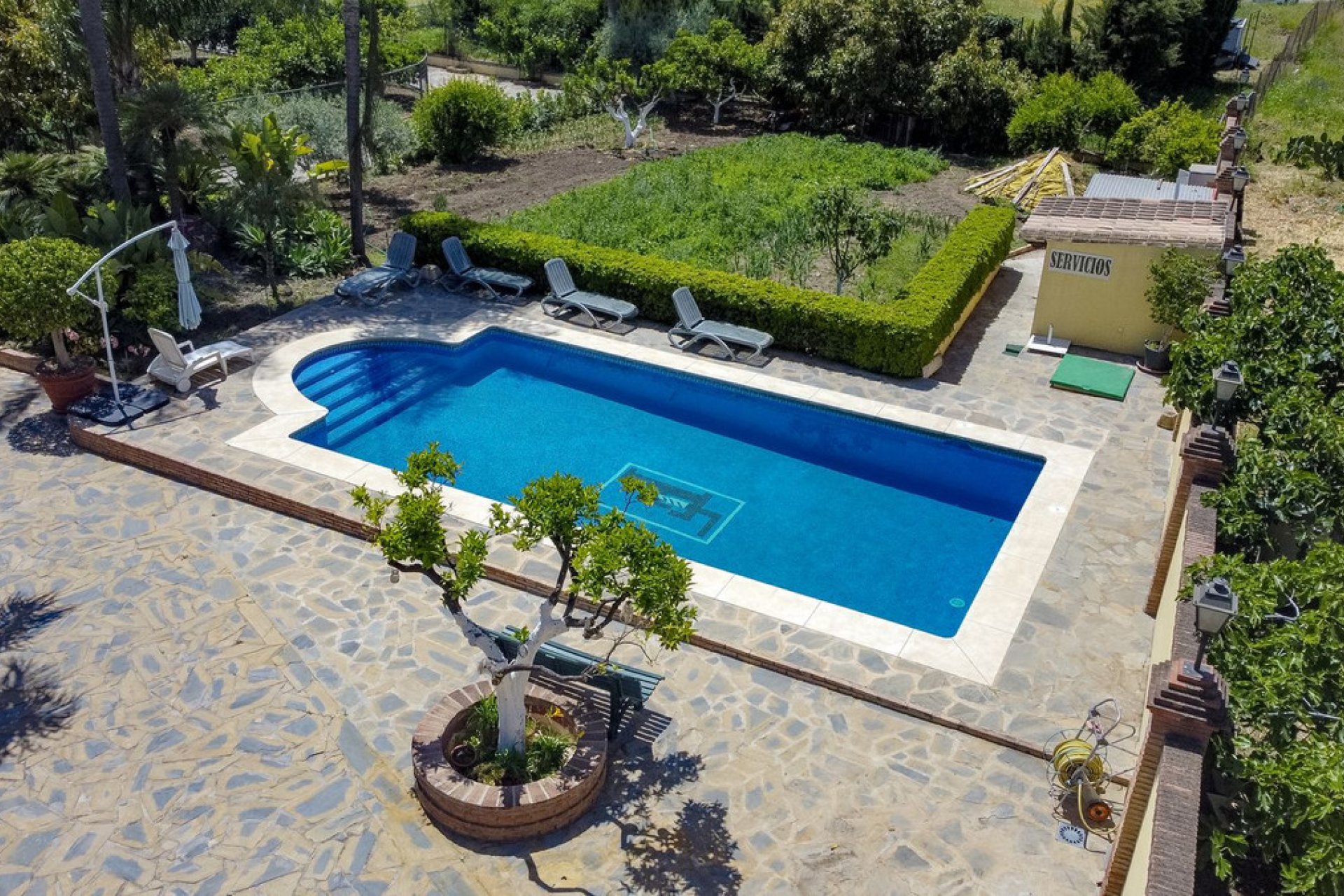 Reventa - House - Detached Villa - Marbella - Nueva Andalucia