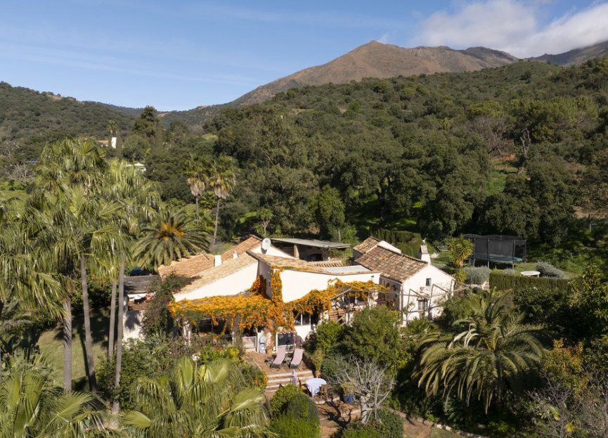 Reventa - House - Finca - Cortijo - Casares - Casares Centro