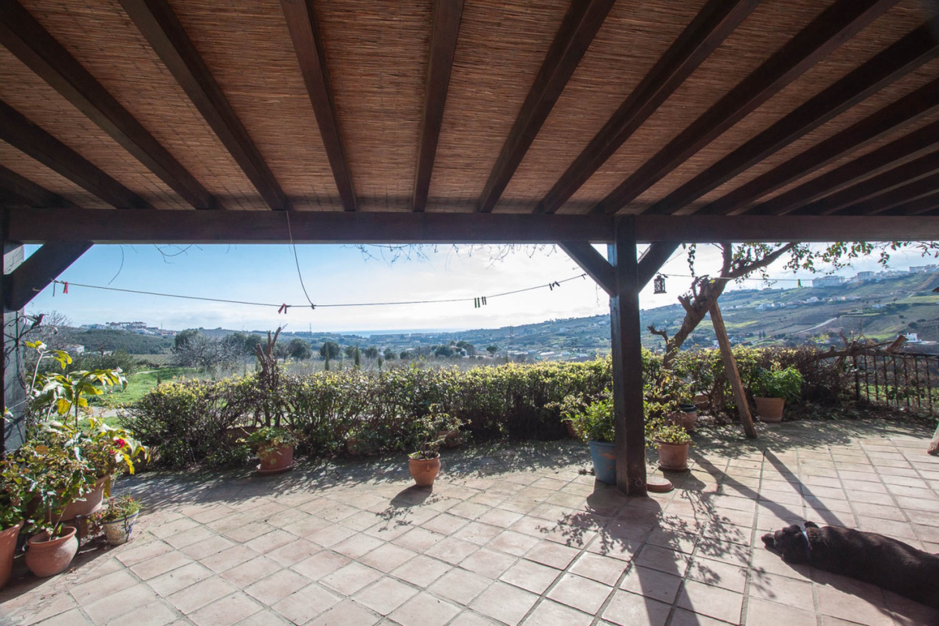 Reventa - House - Finca - Cortijo - Casares - Casares Centro