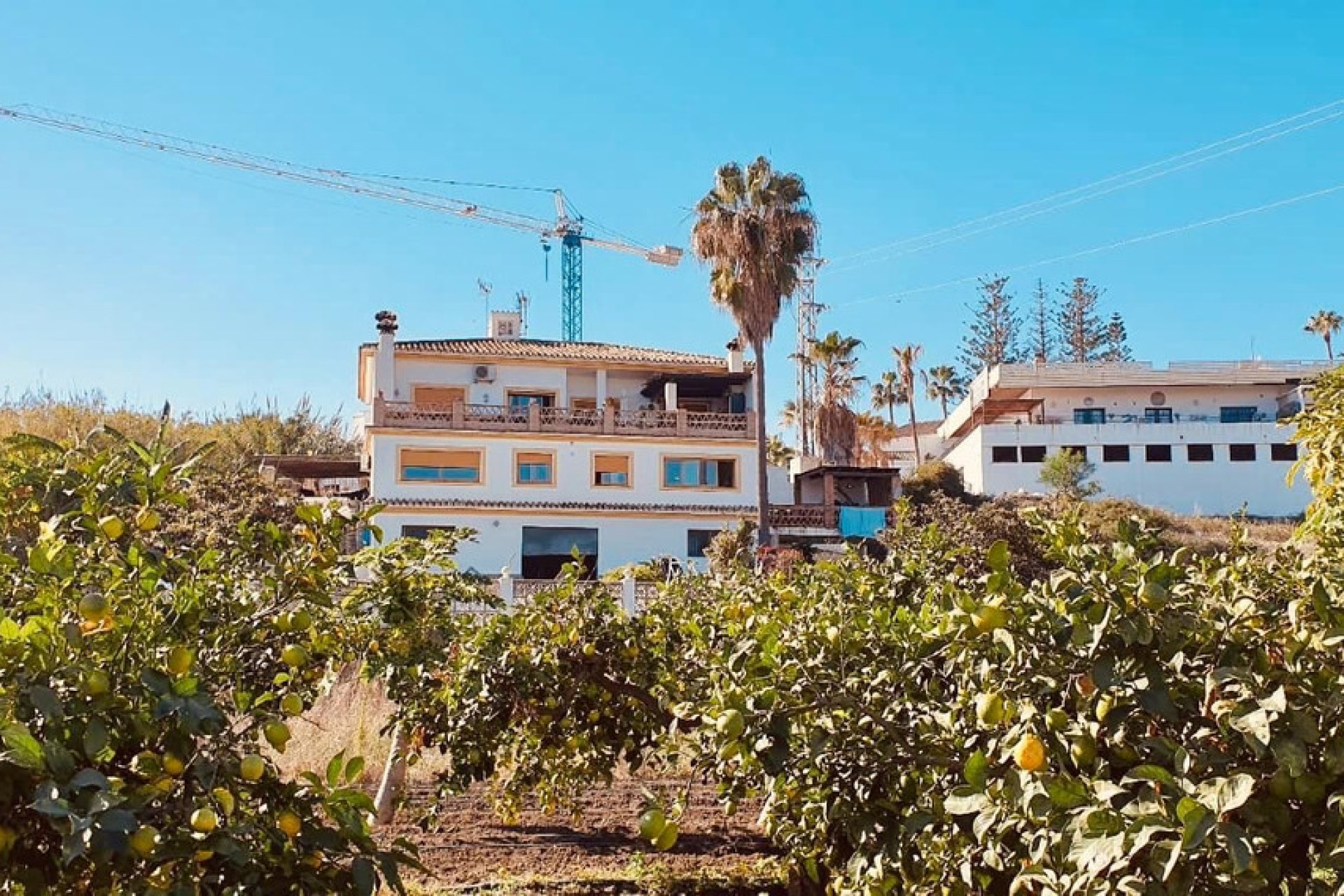 Reventa - House - Finca - Cortijo - Estepona - Cancelada