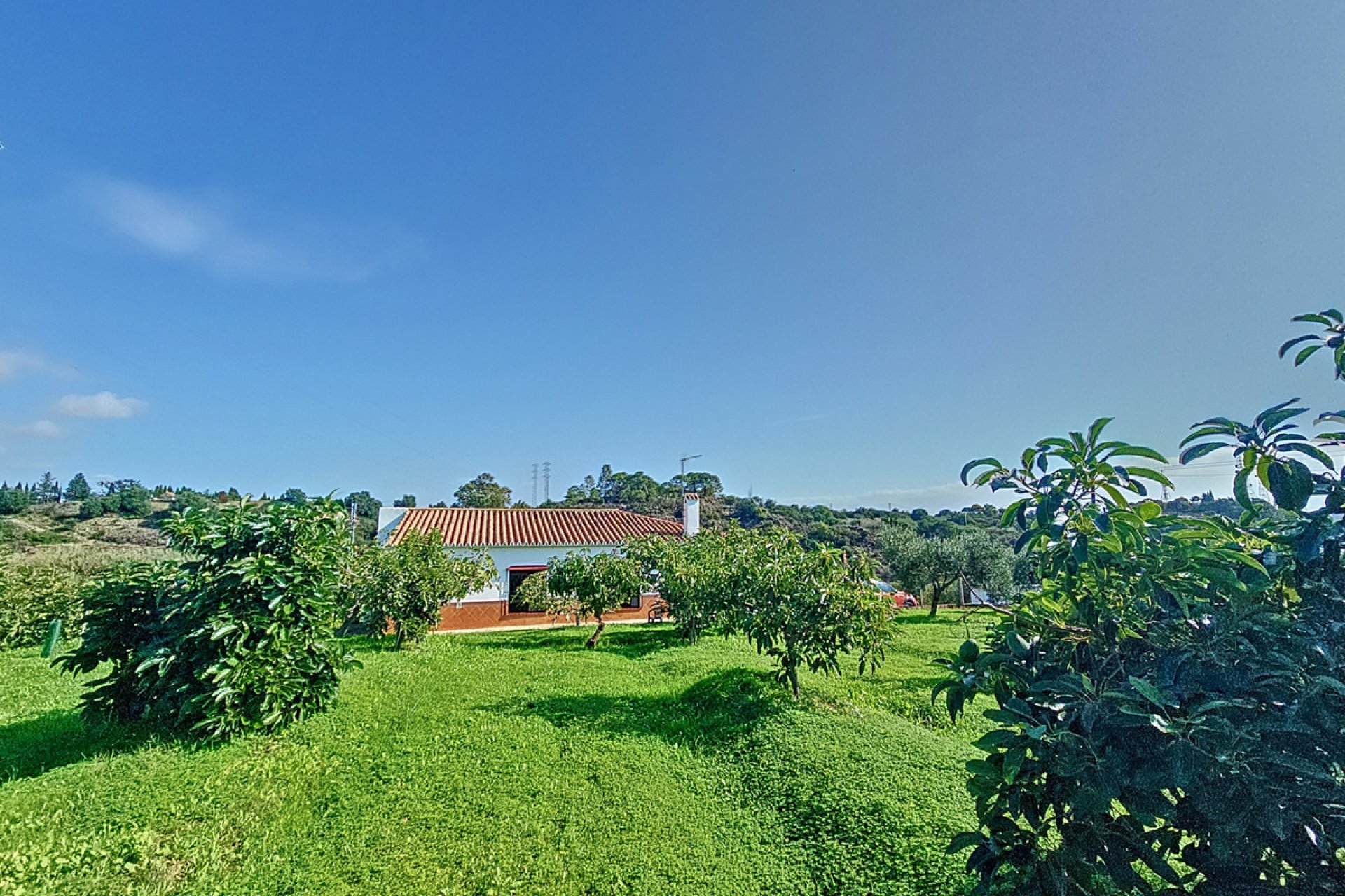 Reventa - House - Finca - Cortijo - Estepona - El Padron