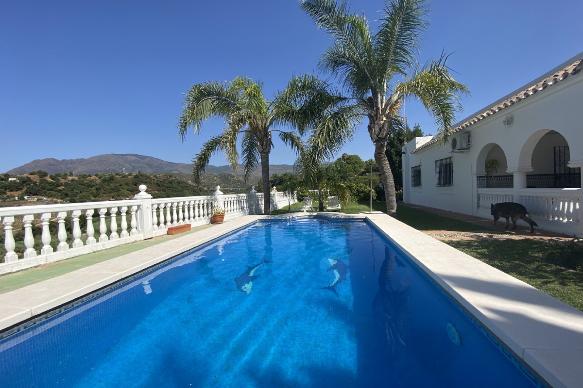 Reventa - House - Finca - Cortijo - Estepona - Estepona Centro