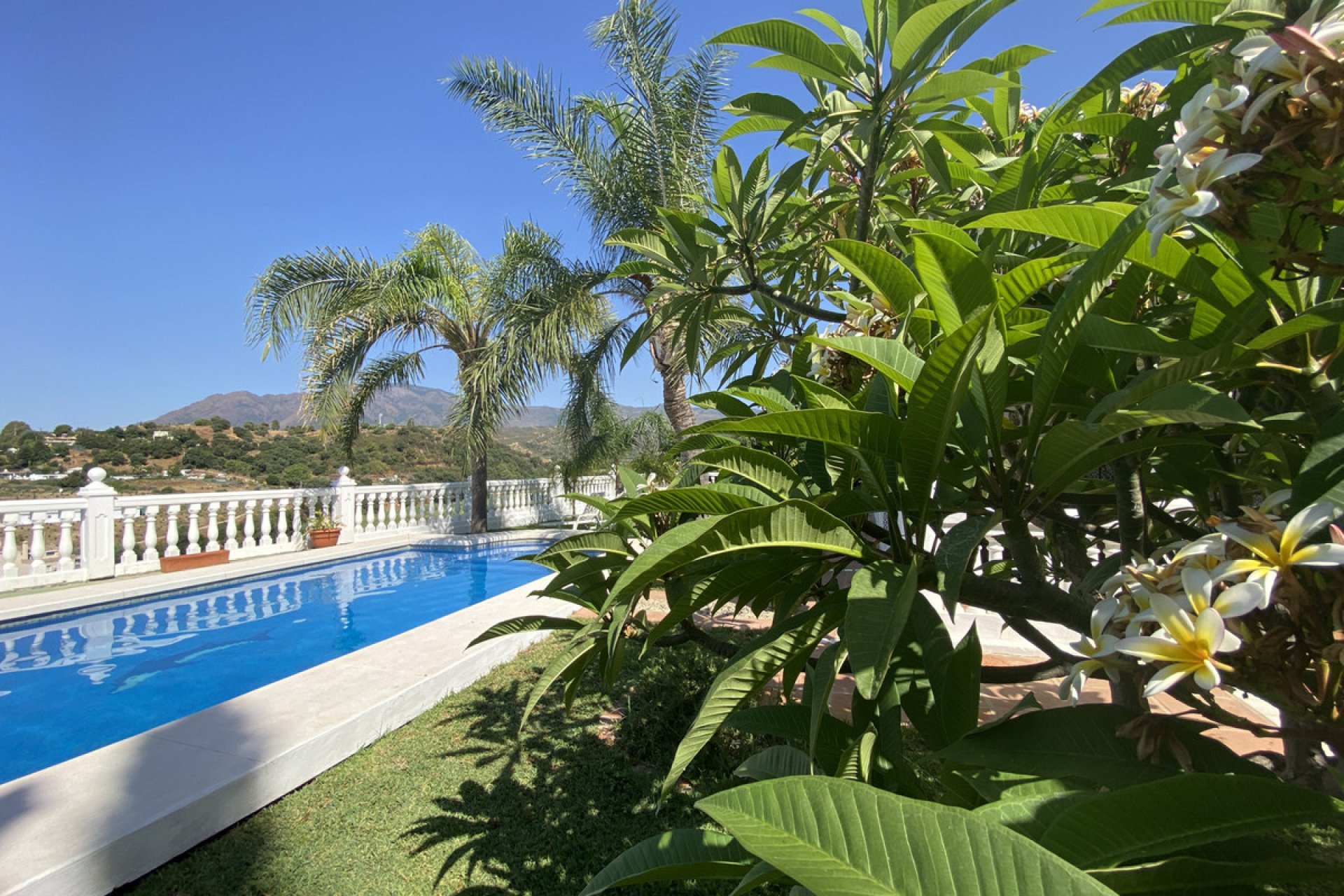 Reventa - House - Finca - Cortijo - Estepona - Estepona Centro