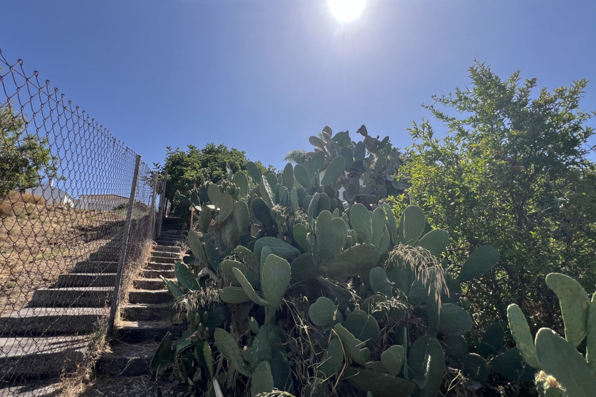 Reventa - House - Finca - Cortijo - Estepona - Estepona Centro