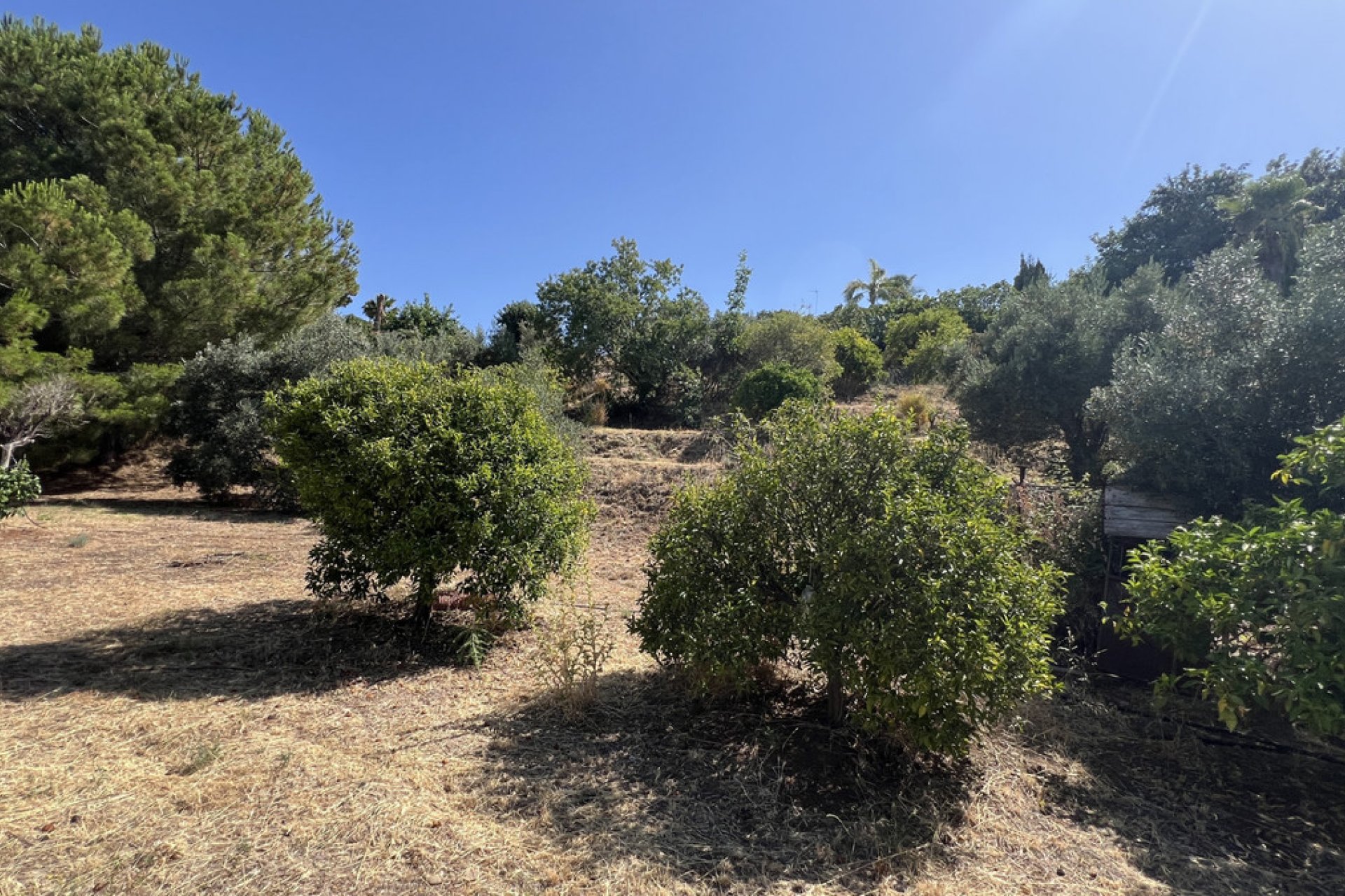 Reventa - House - Finca - Cortijo - Estepona - Estepona Centro