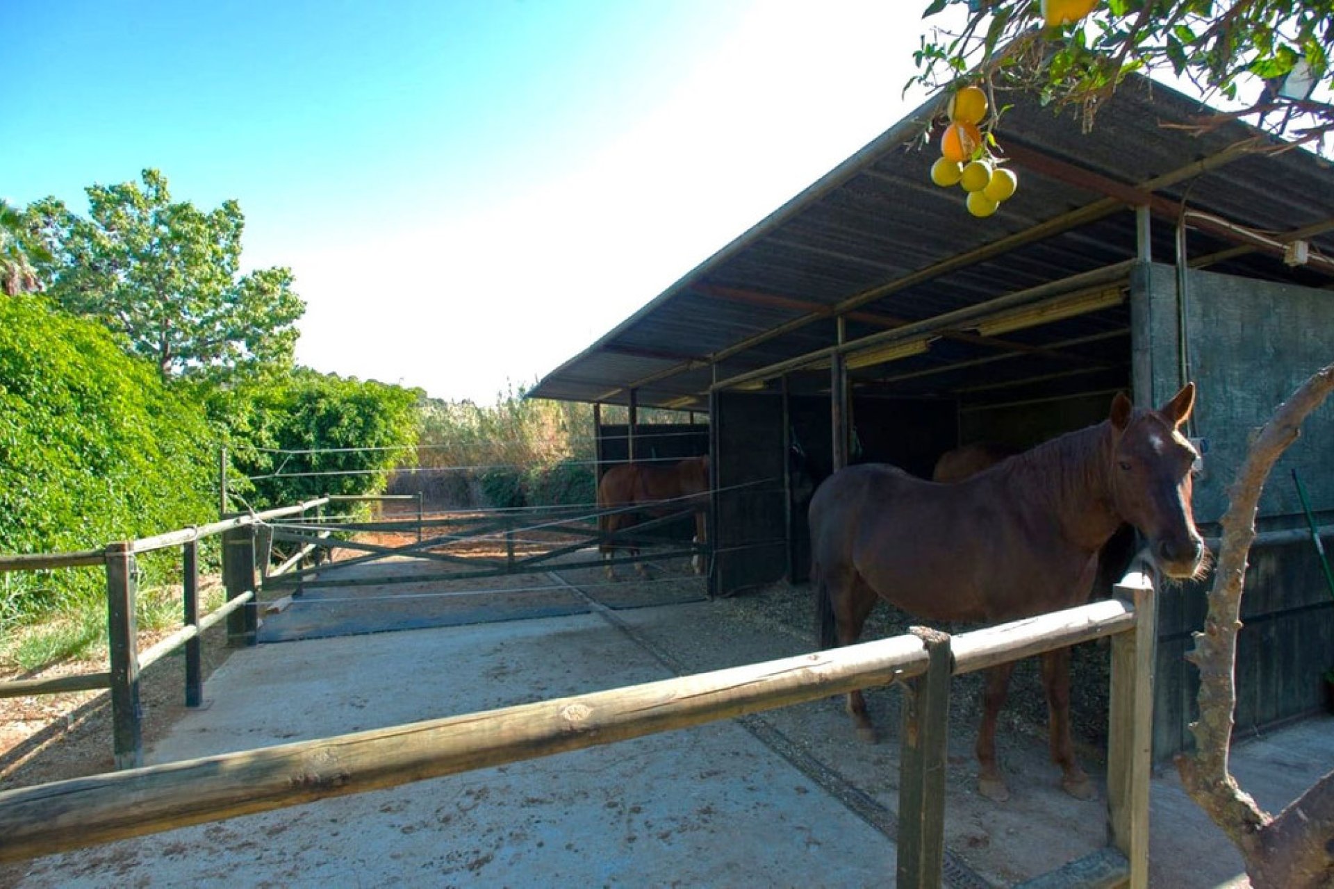 Reventa - House - Finca - Cortijo - Estepona - Estepona Centro