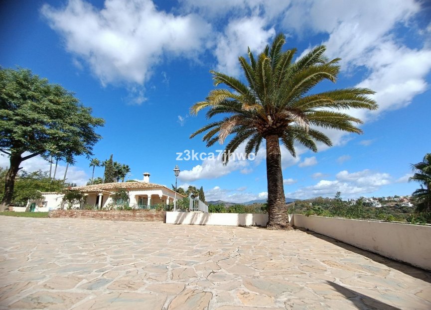 Reventa - House - Finca - Cortijo - Estepona - Estepona Centro