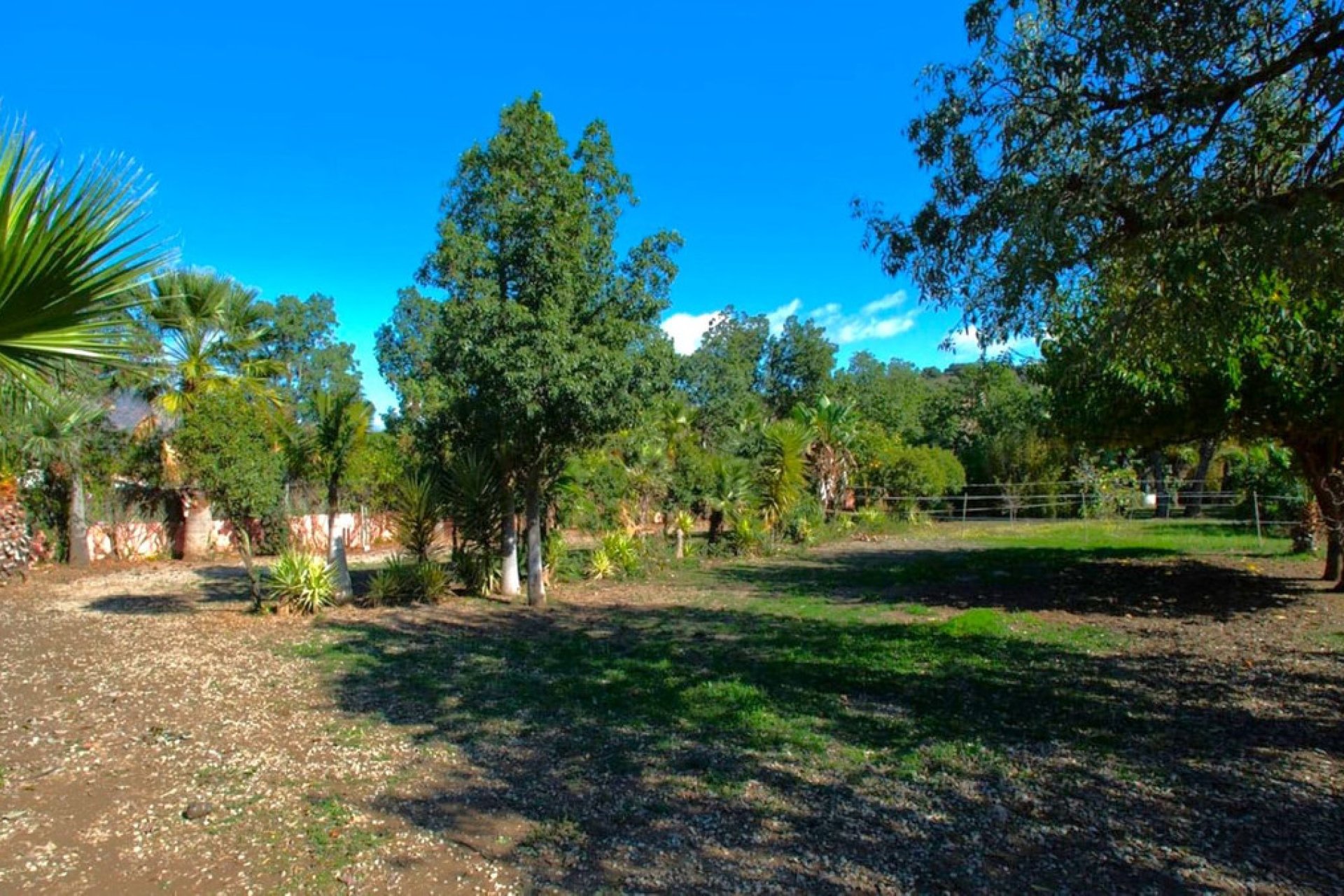 Reventa - House - Finca - Cortijo - Estepona - Estepona Centro