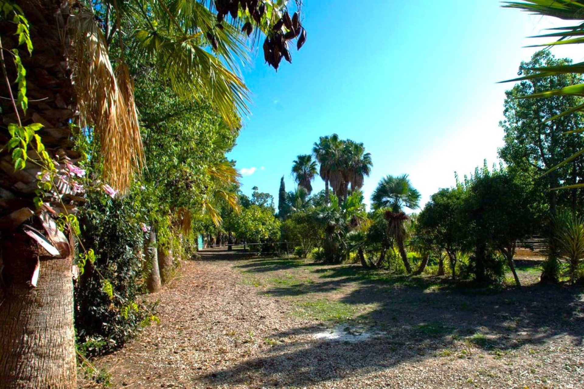 Reventa - House - Finca - Cortijo - Estepona - Estepona Centro