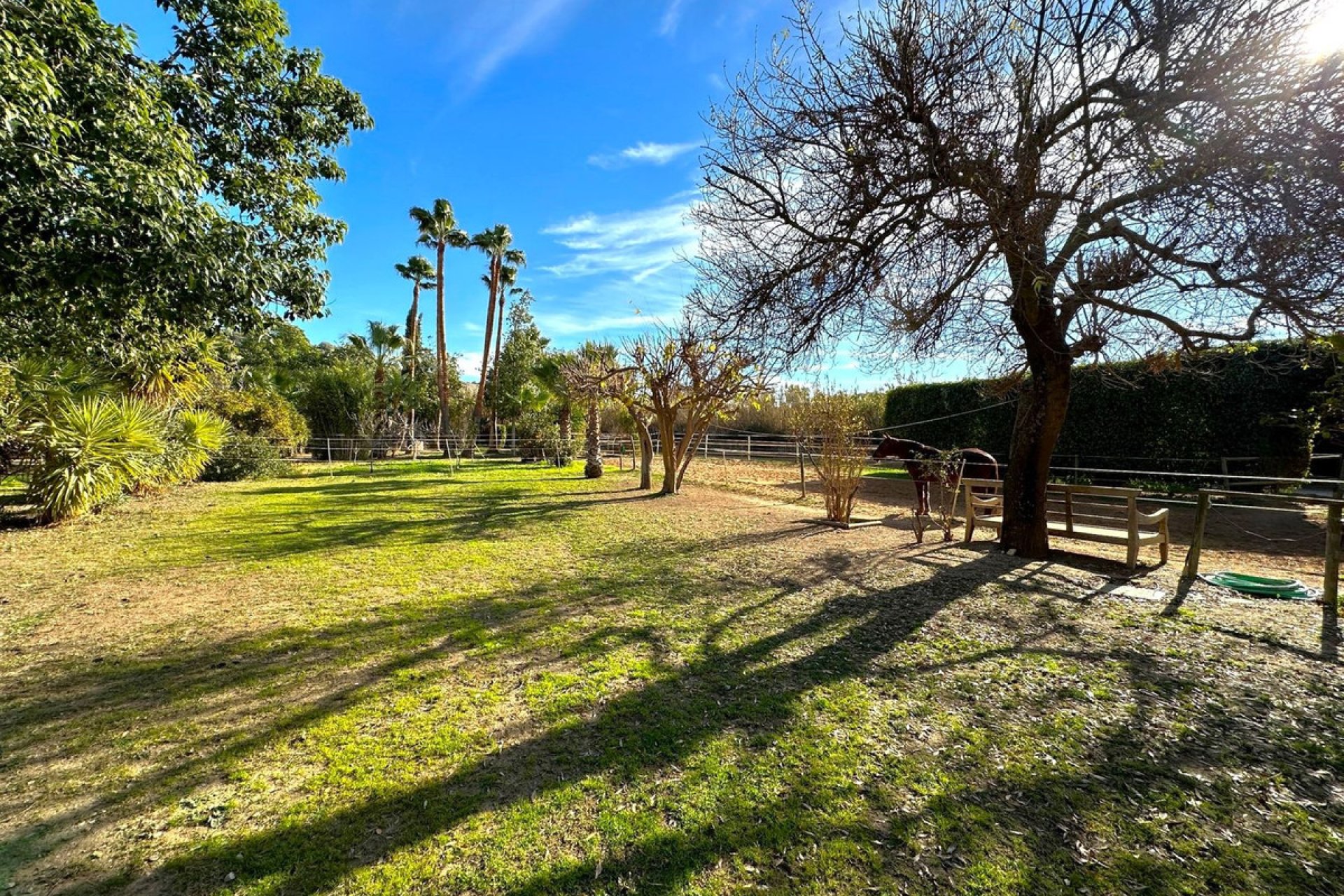 Reventa - House - Finca - Cortijo - Estepona - Estepona Centro